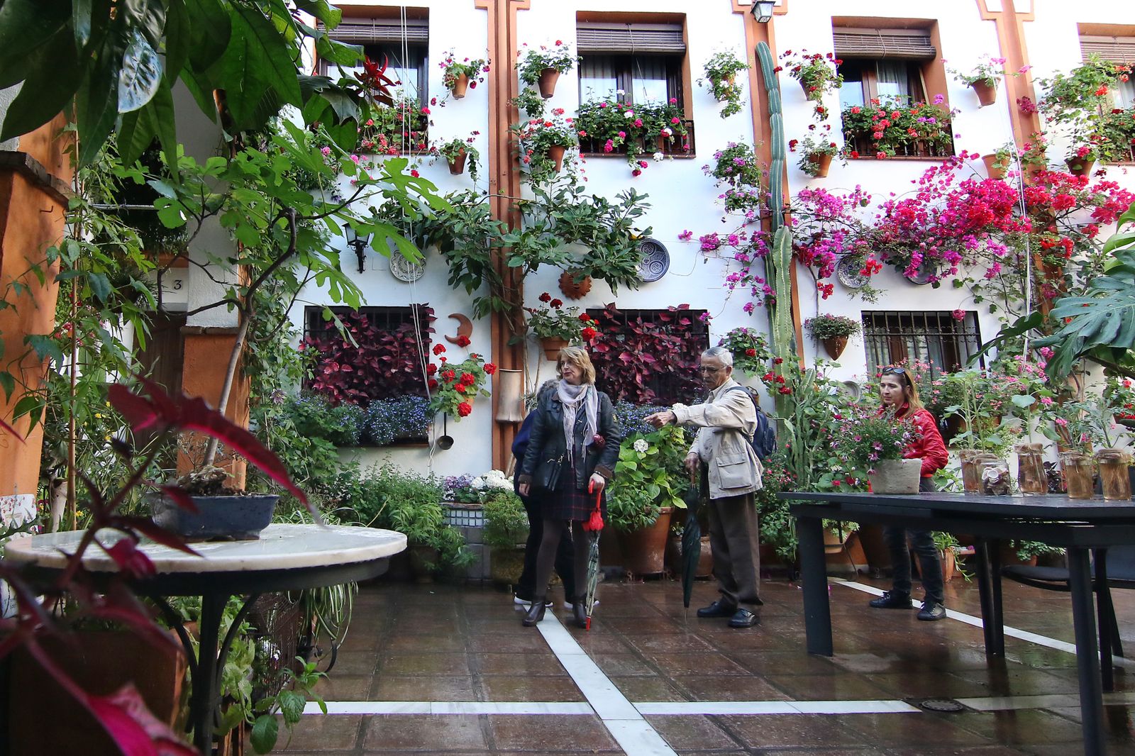 Los patios ganadores en el concurso de los Patios de Córdoba 2017