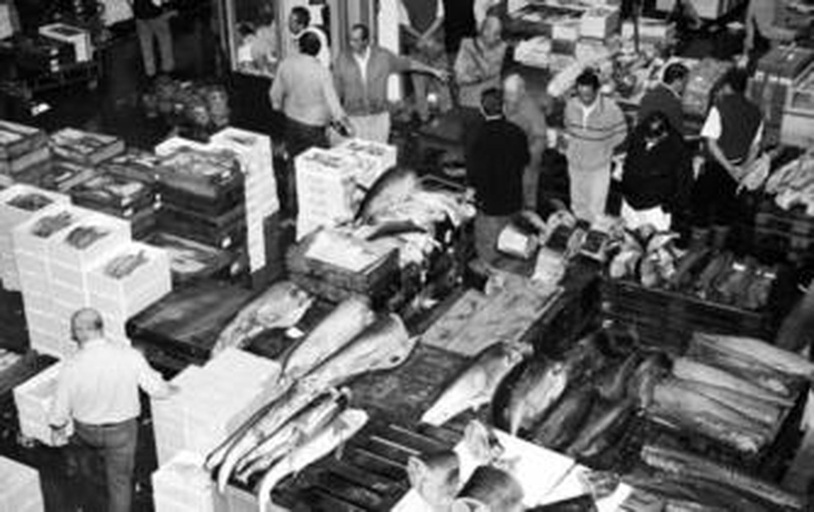 Los empleados de Mercasevilla en El Barranco, la nave destinada a la venta de pescado.