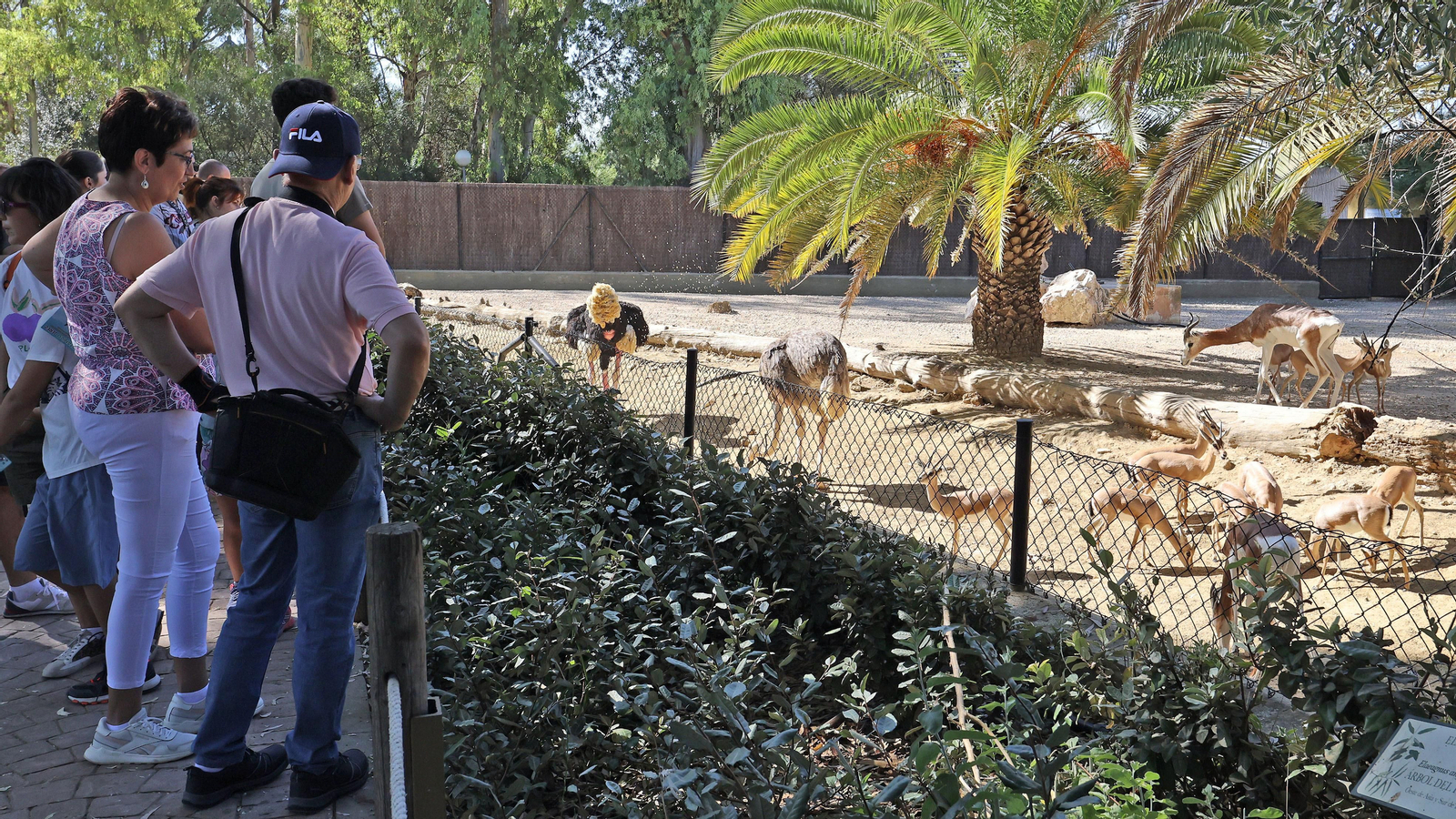 Día de las aves en el Zoo de Jerez