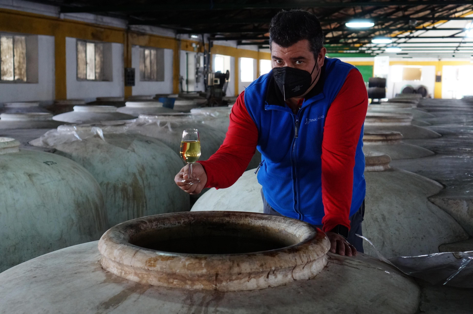 Un recorrido en fotografías por el vino nuevo de Moriles