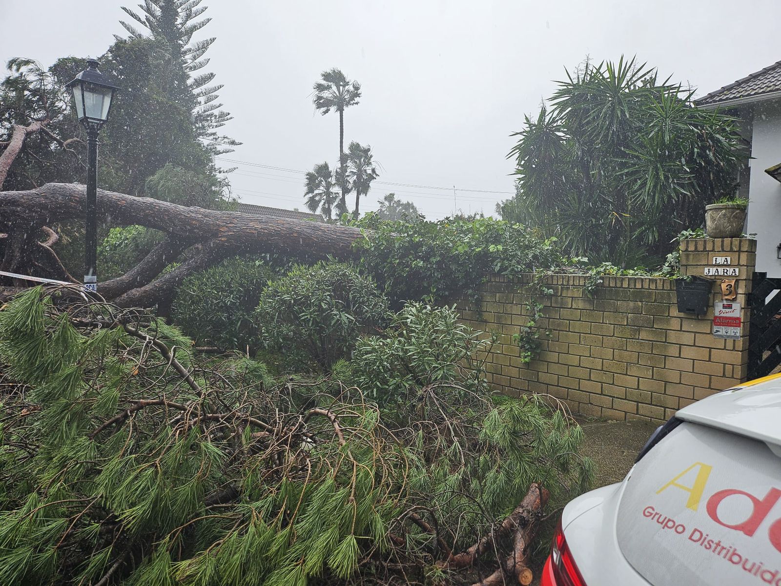 Fotografías de árboles caídos e inundaciones por la borrasca Leonardo