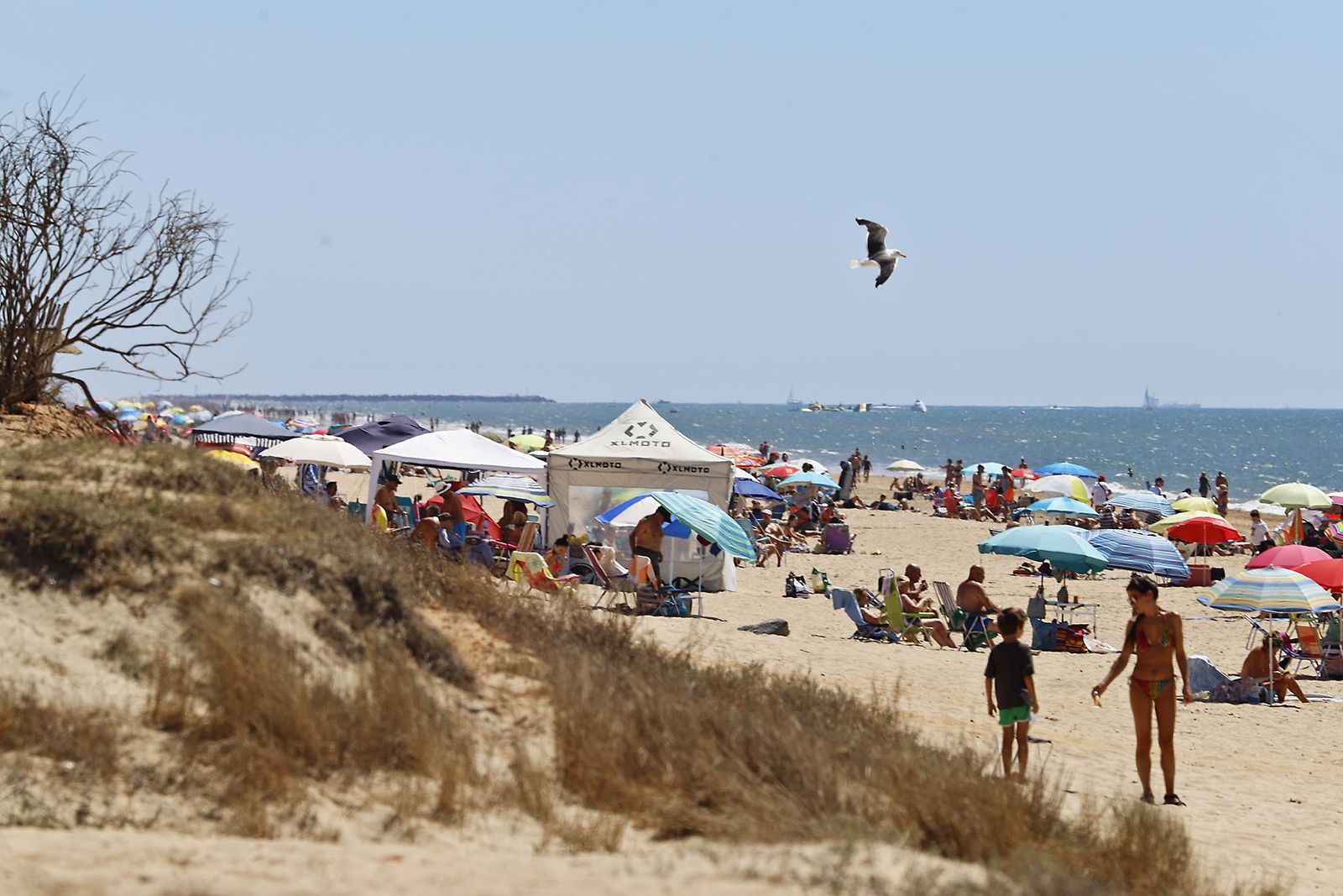 Las playas de Huelva, llenas durante el verano.