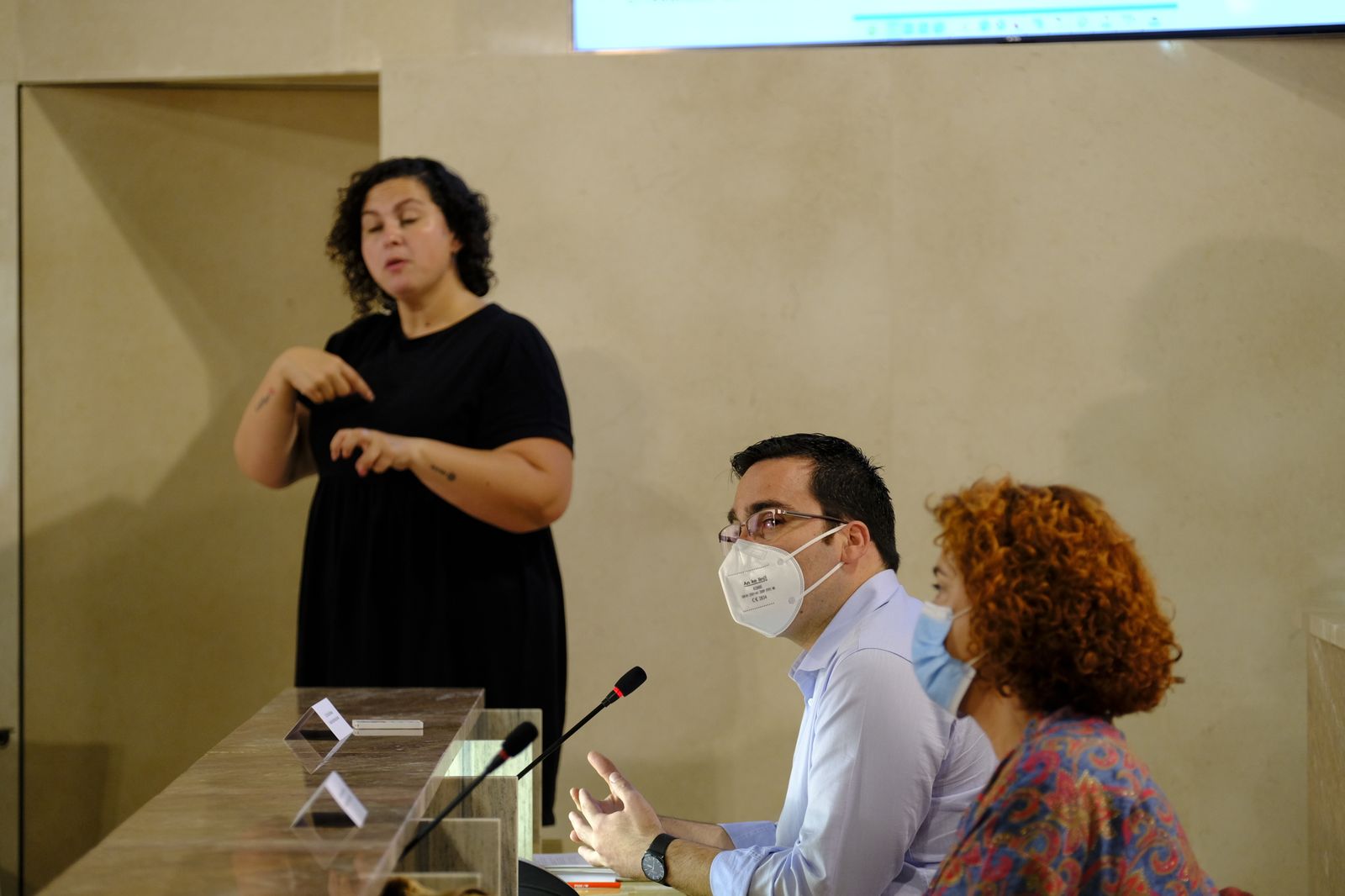 Fotogalería pleno ordinario del Ayuntamiento de Almería