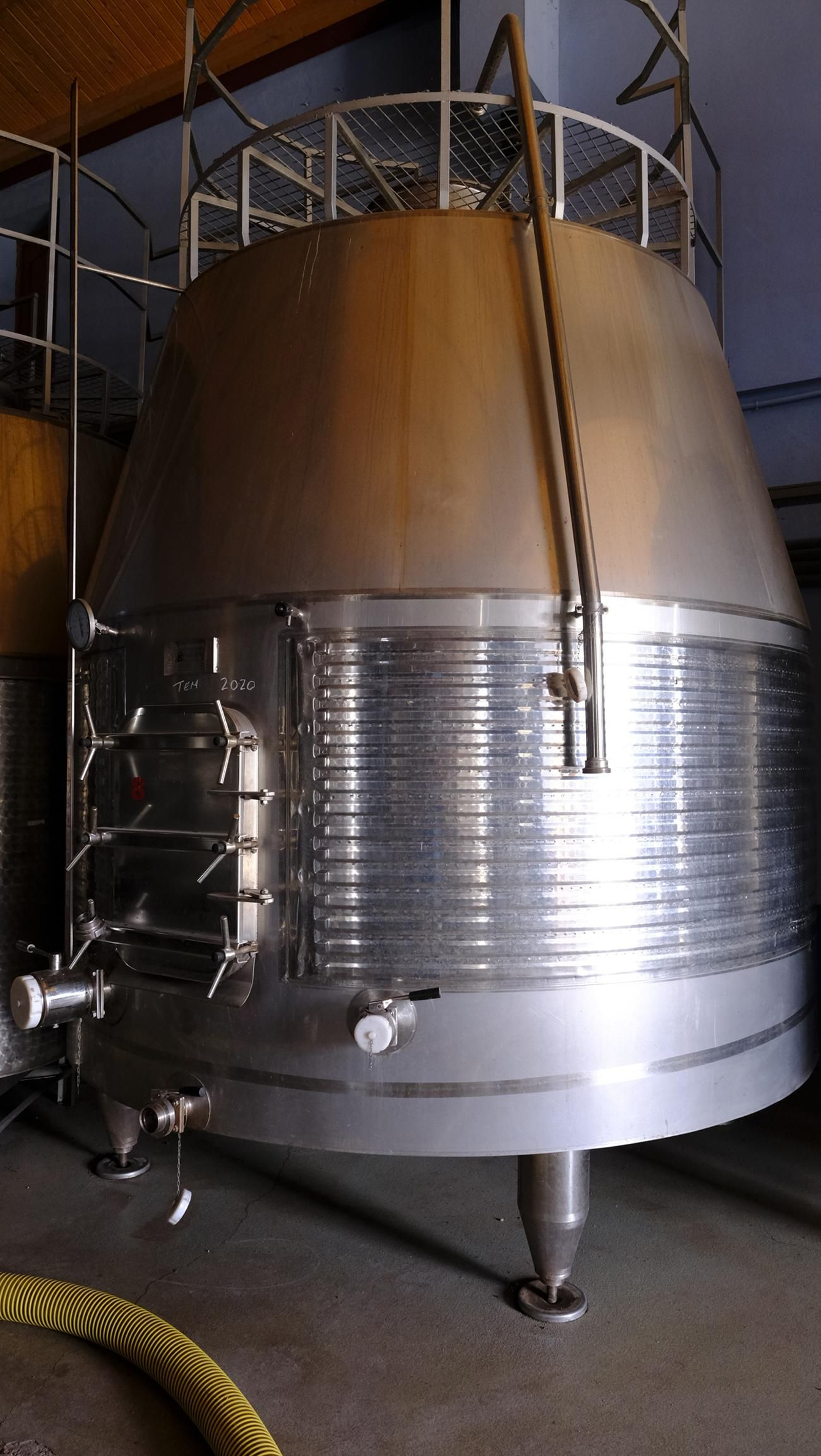 Llega la vendimia a las Bodegas Perfer, en Uleila del Campo