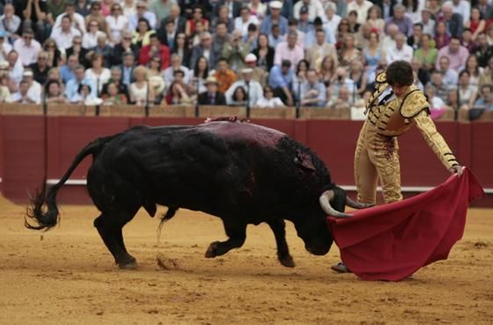 El diestro Sebastian Castella en su primera y única tarde de Feria.

Foto: Juan Carlos Muñoz