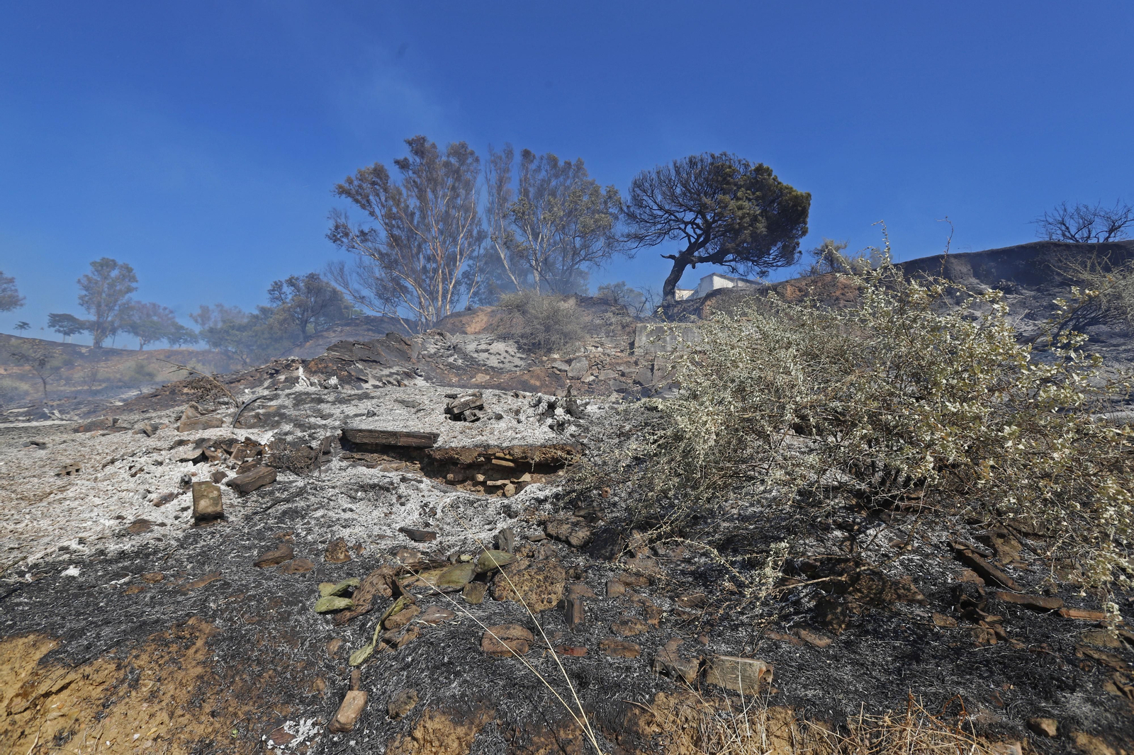 Imágenes del espectacular incendio en las laderas del Conquero