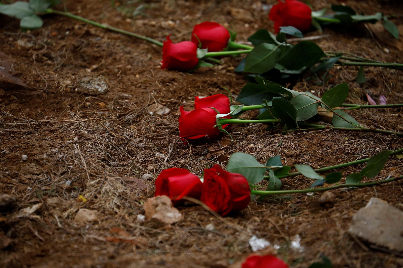 El acto de homenaje previo a las exhumaciones de las fosas en la Salud, en imágenes