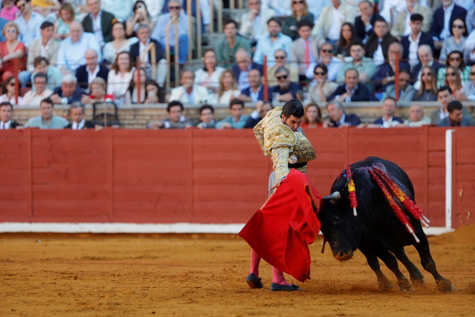 Las mejores fotos de la corrida de Morante, Ortega y Roca Rey en la Feria Taurina de Córdoba