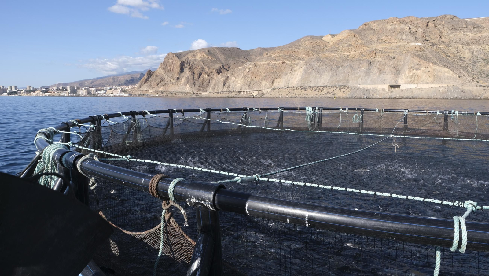 La piscifactoría de El Cañarete, en imágenes