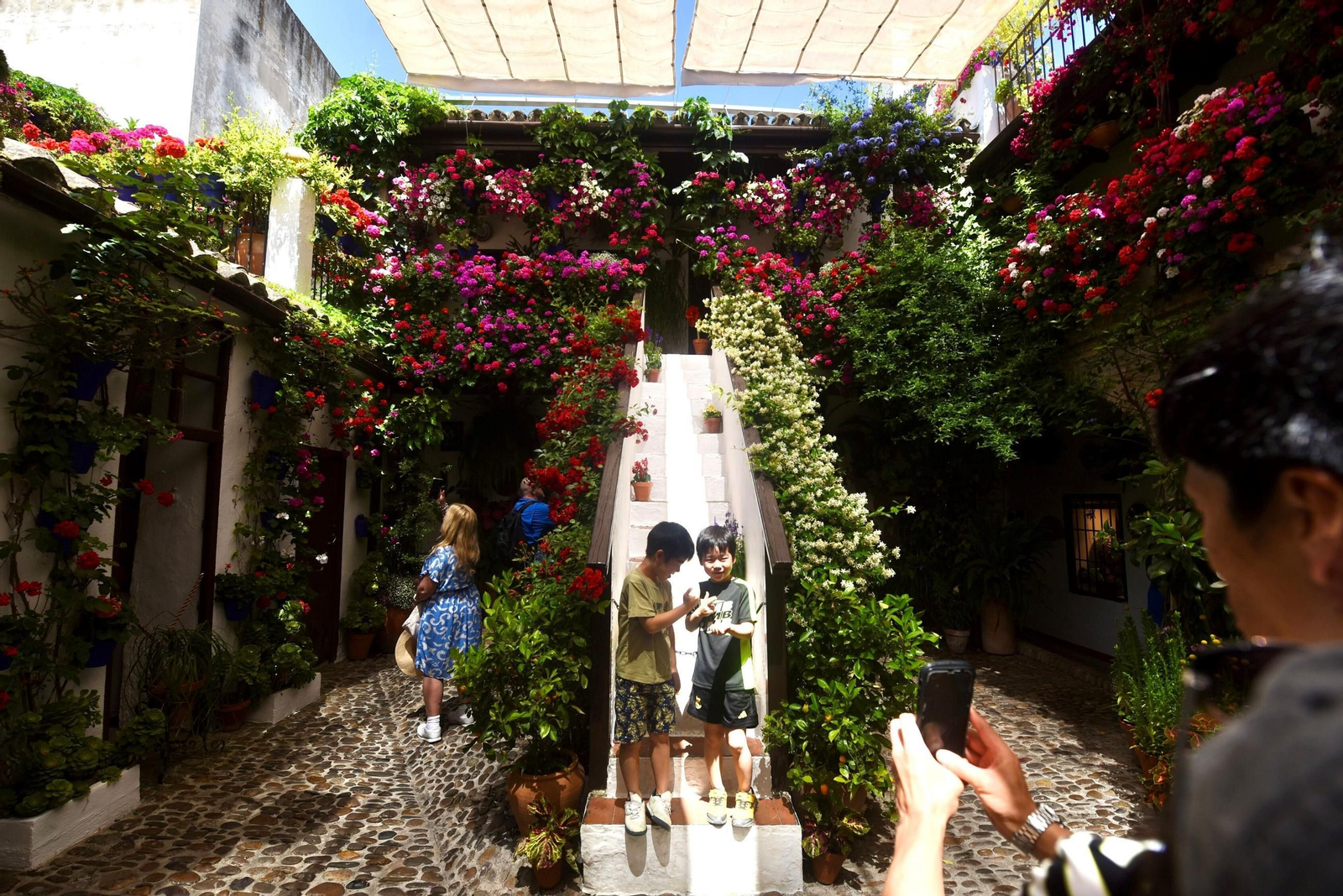 El último sábado de Patios de Córdoba en Alcázar Viejo, en imágenes