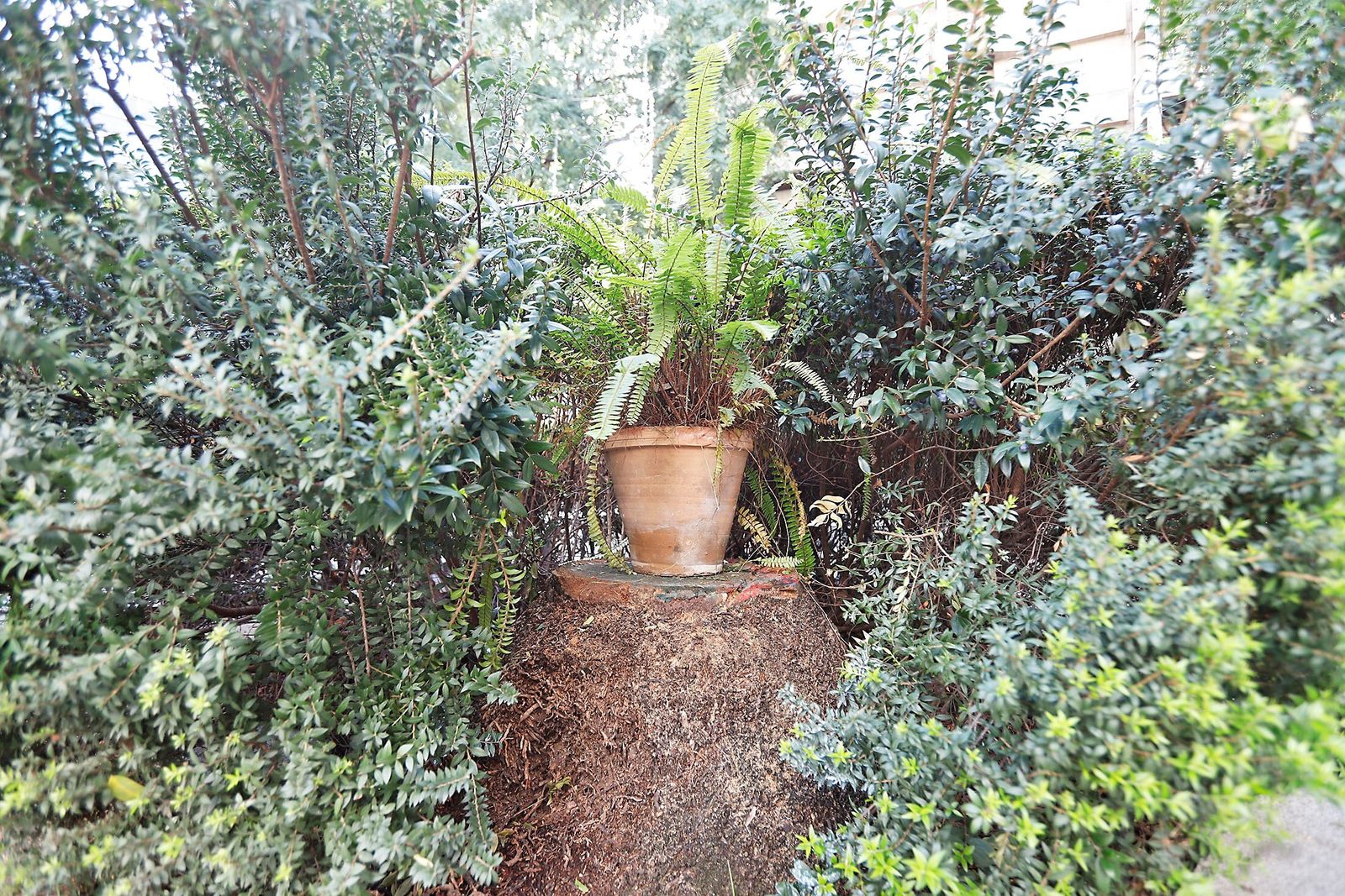 Lugar donde estaba la antigua palmera de Huelva