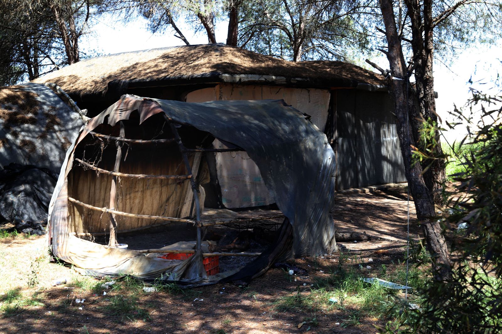 Imágenes del incendio de chabolas en Lucena del Puerto