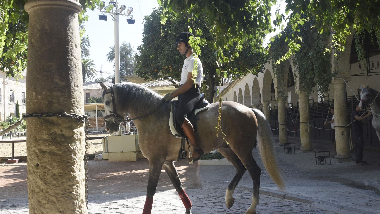 Un jinete monta a un pura raza española en Caballerizas Reales. Un jinete monta a un pura raza española en Caballerizas Reales.