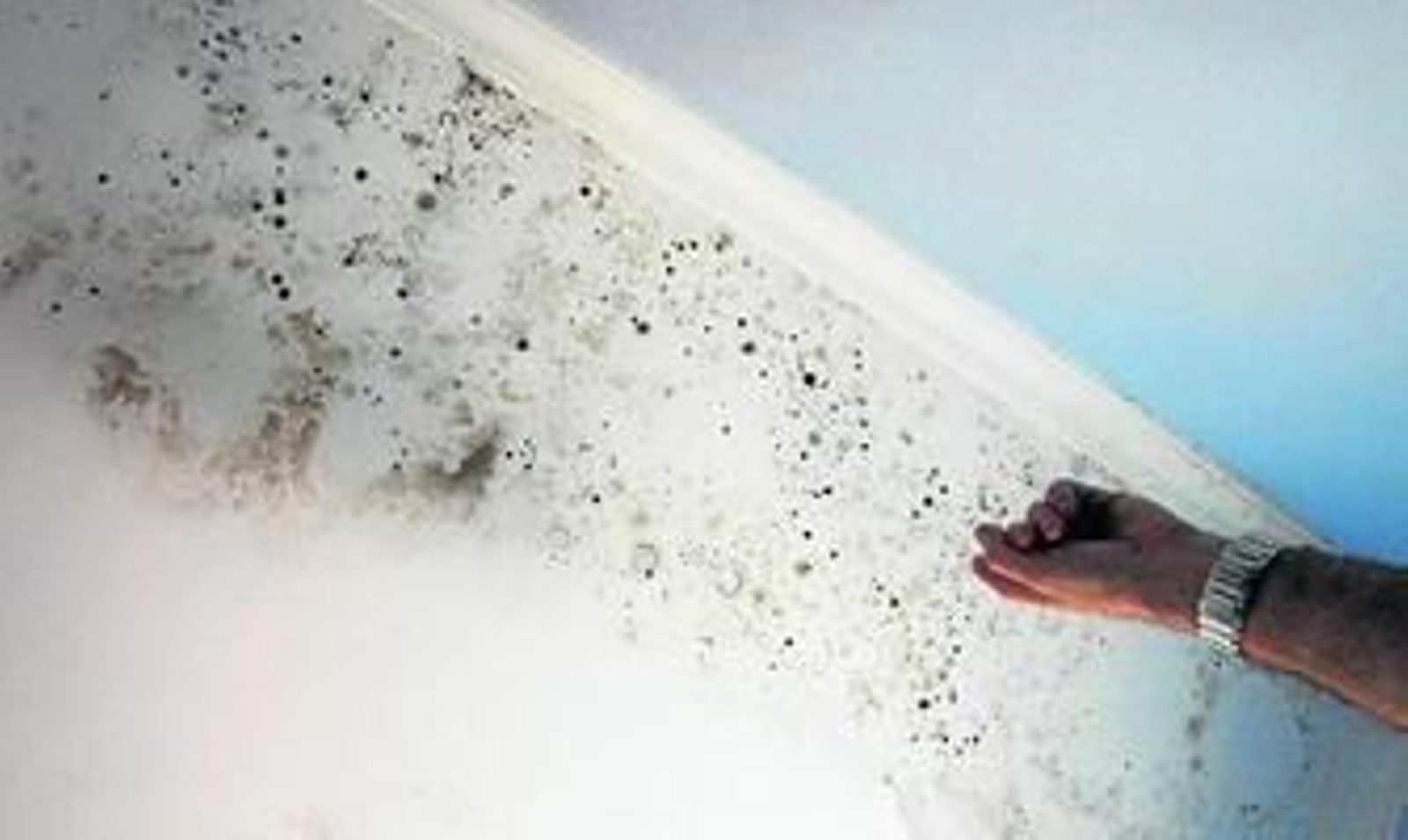 Uno de los propietarios señala la enorme mancha de humedad que tiene en una habitación.