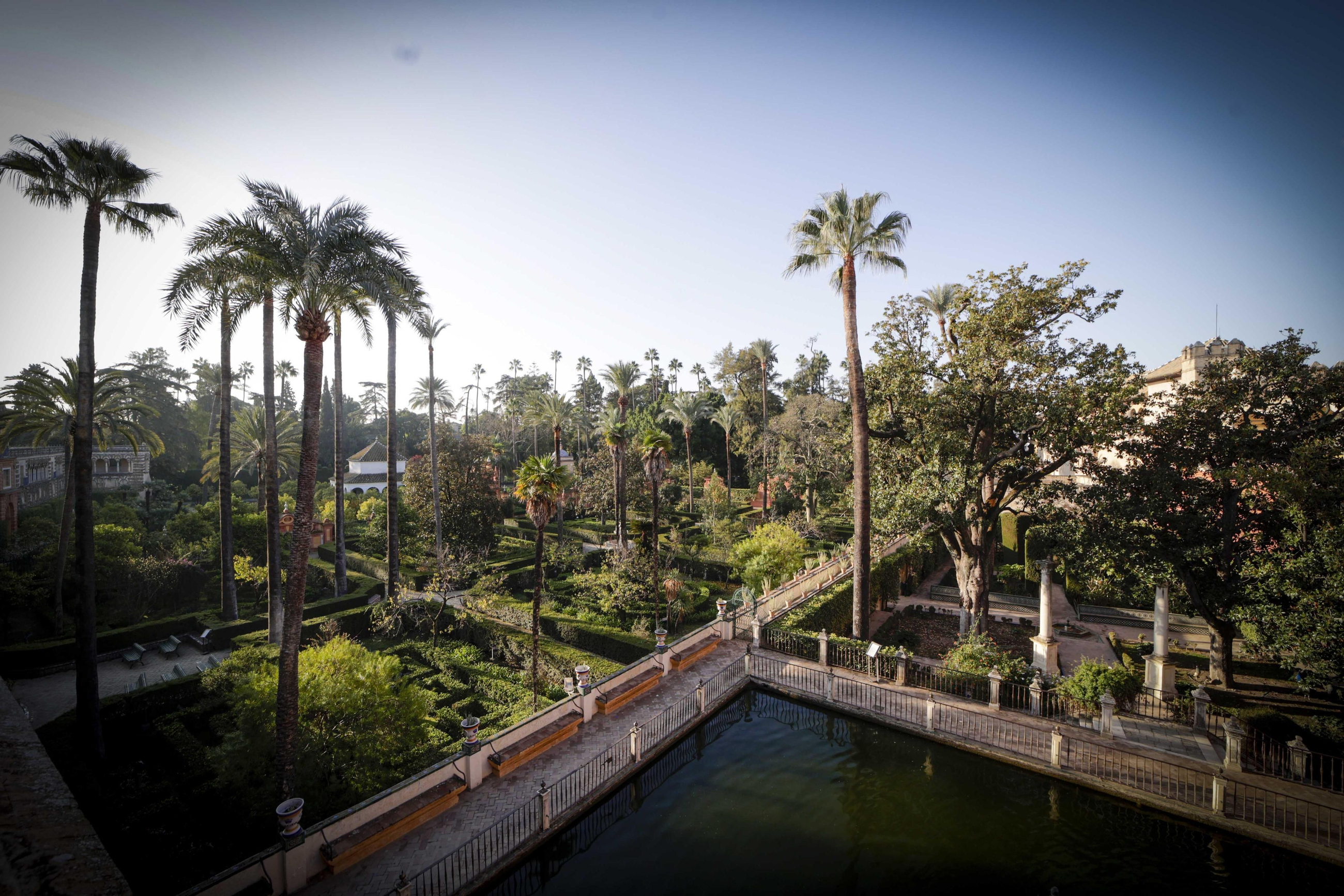 Reabren los Jardines del Alcázar de Sevilla tras tomar medidas contra la gripe aviar