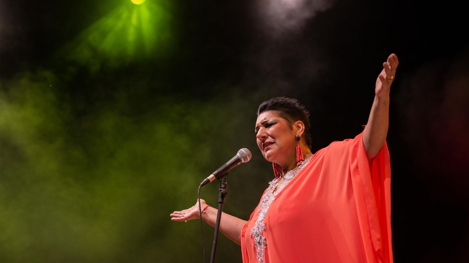 Remedios Amaya, en la Bulería.