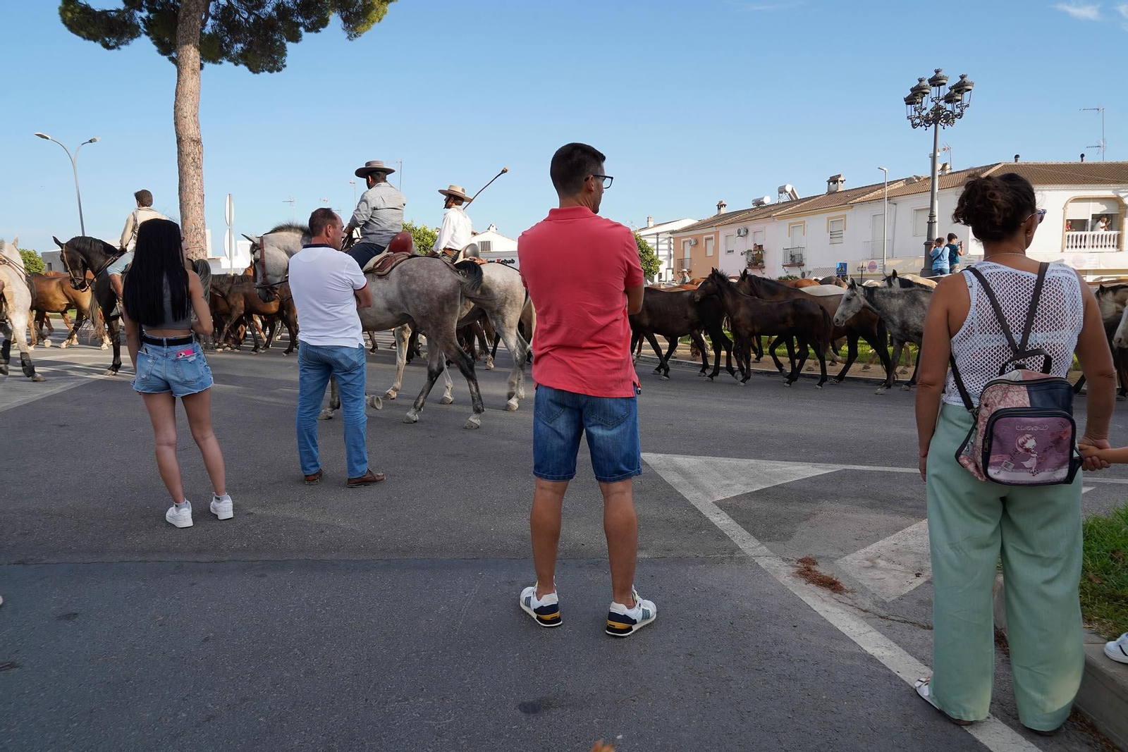 Las imágenes más destacas de la recogida de las yeguas en Hinojos