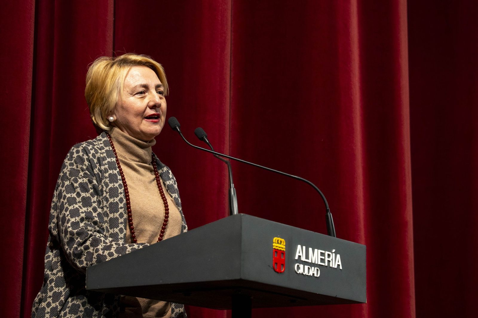 Galería de la XI Gala Coteca del Carnaval de Almería