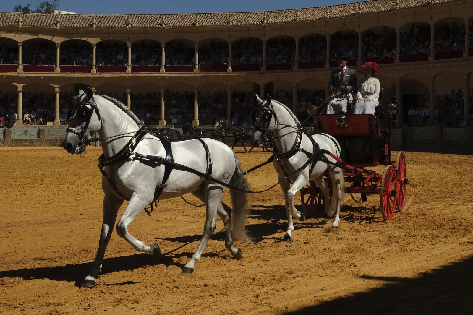 Concurso de enganches de Ronda, en fotos.