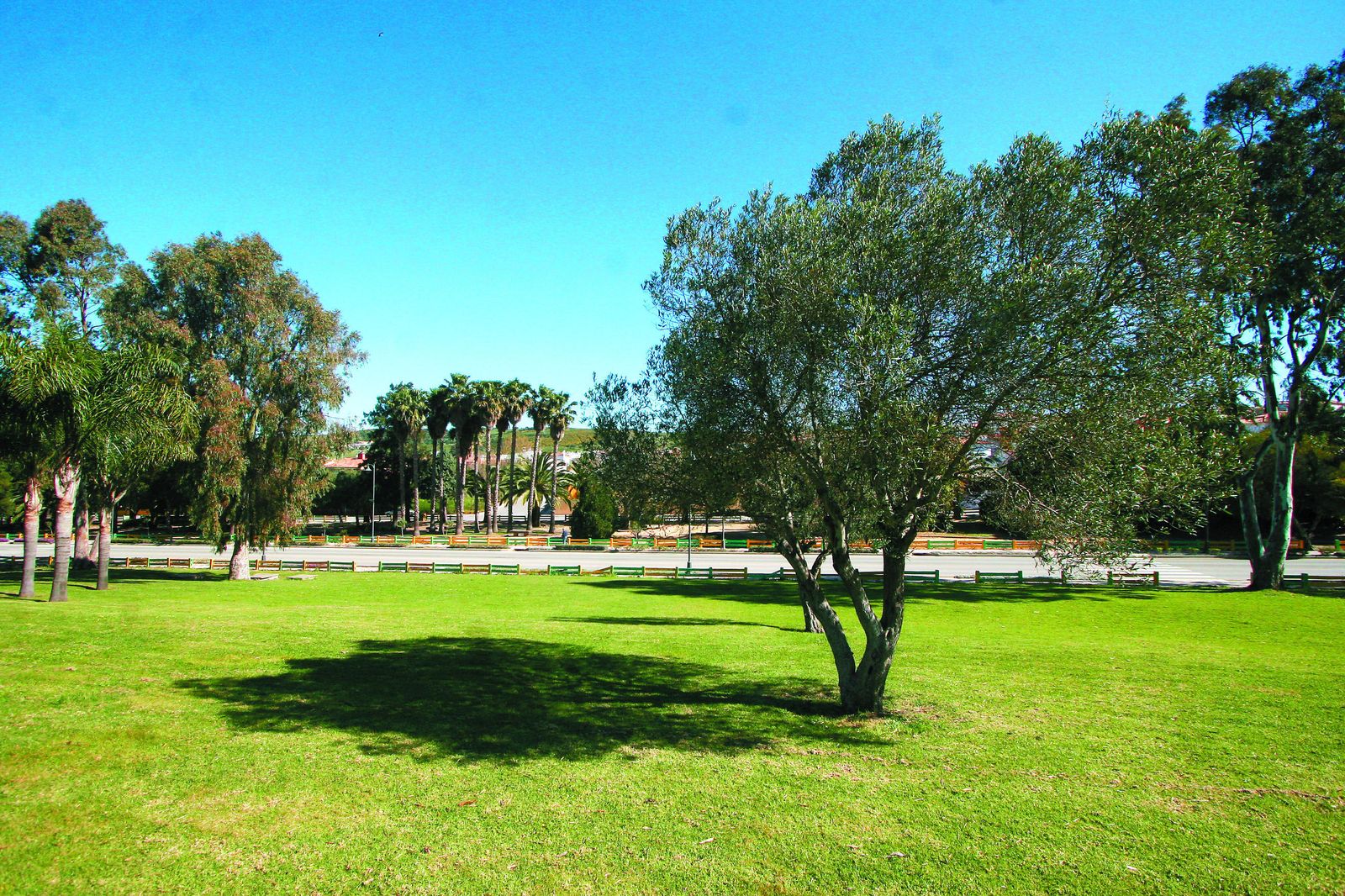 Parque Botánico Betty Molesworth en Los Barrios