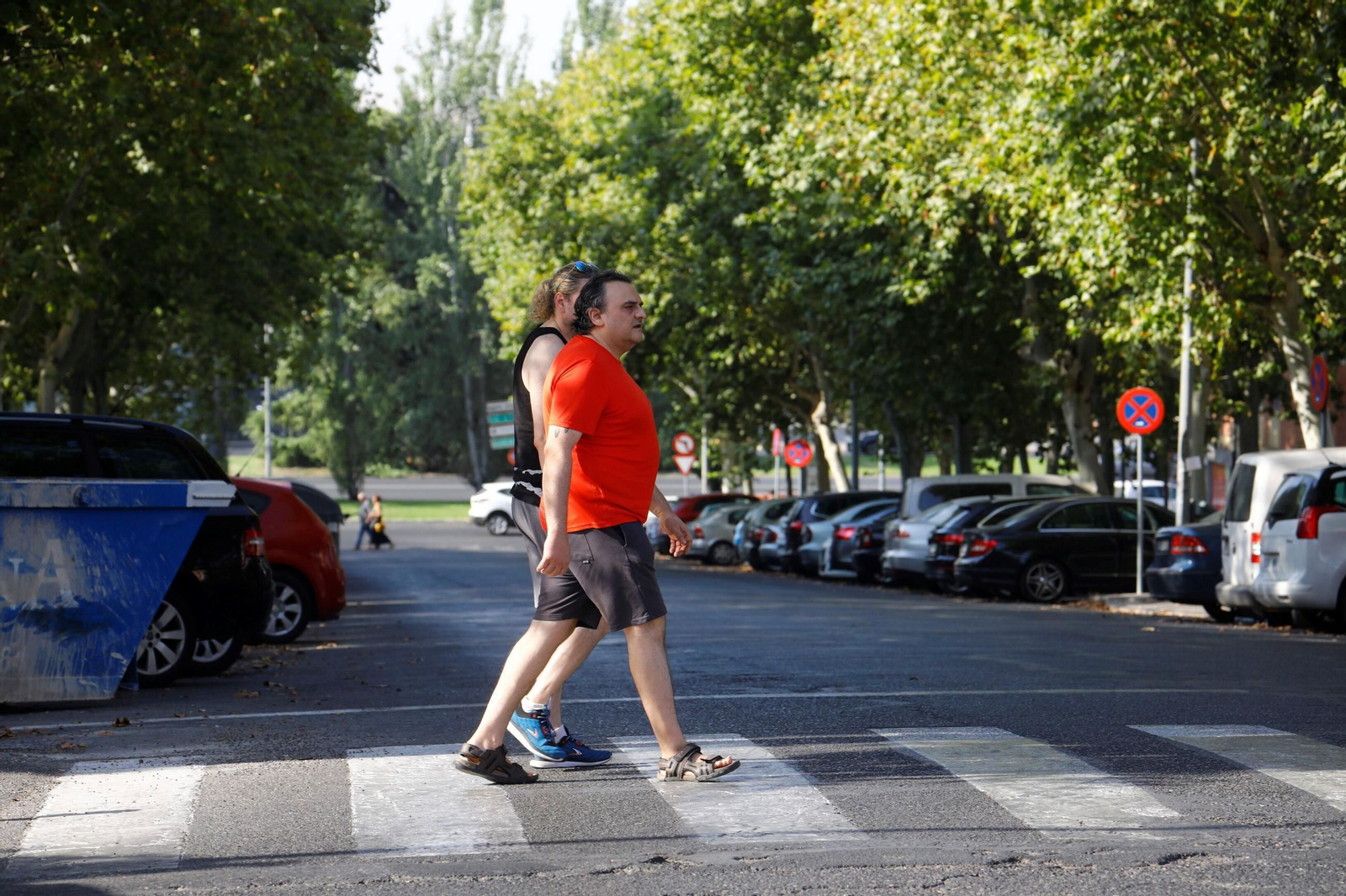 Un paseo por el barrio de Fátima una mañana de verano en Córdoba, en imágenes