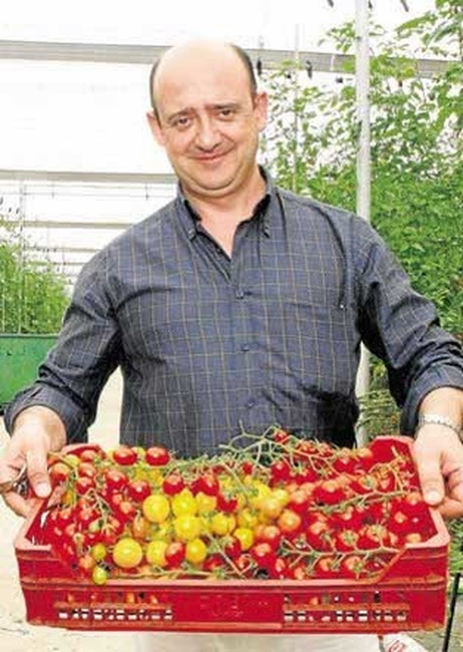 Philoseed crea nuevas semillas de tomate para cerrar el ciclo anual