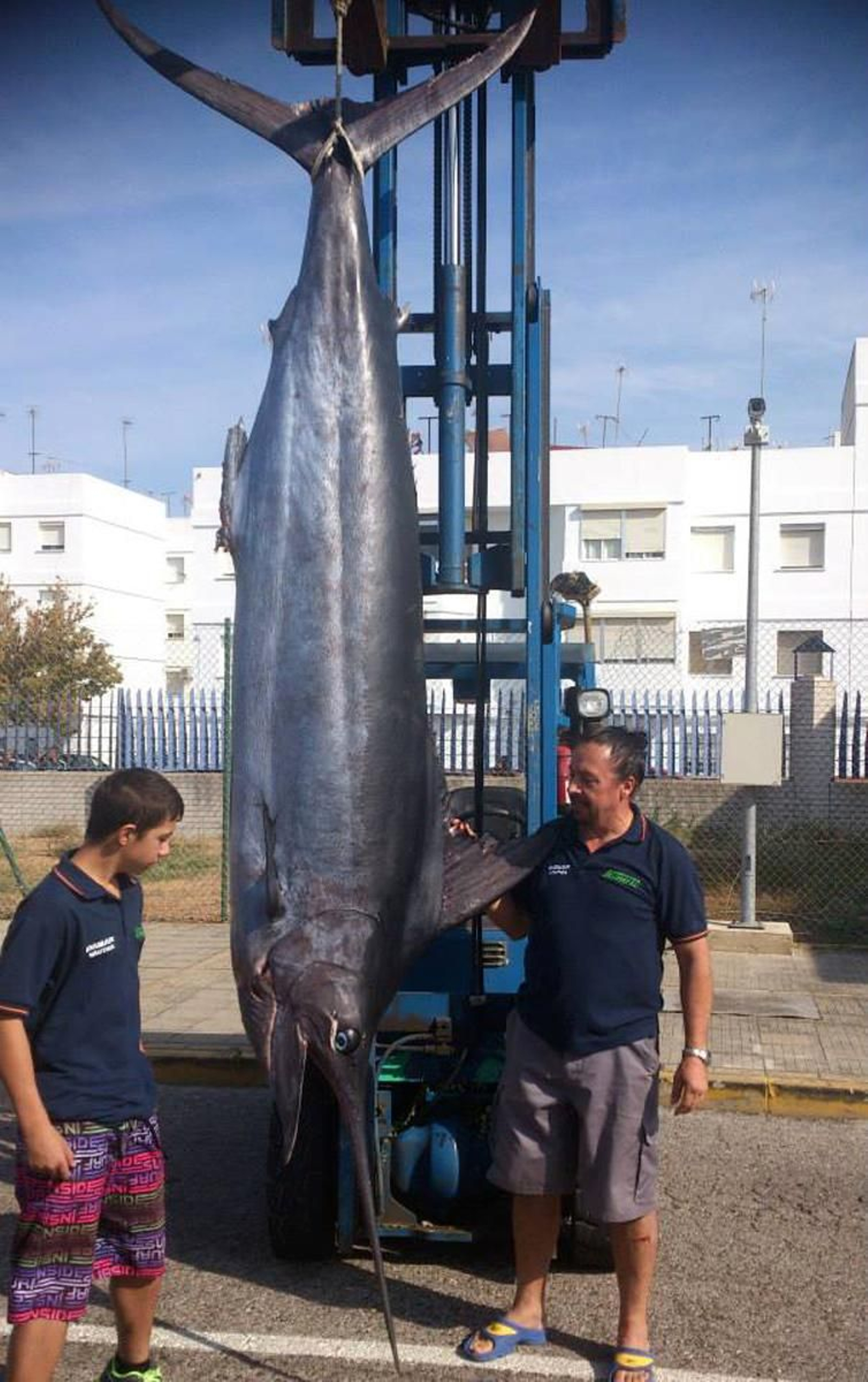 La mayor captura de Paco Esparragosa fue un marlín azul de 406 kilos de peso en 2014