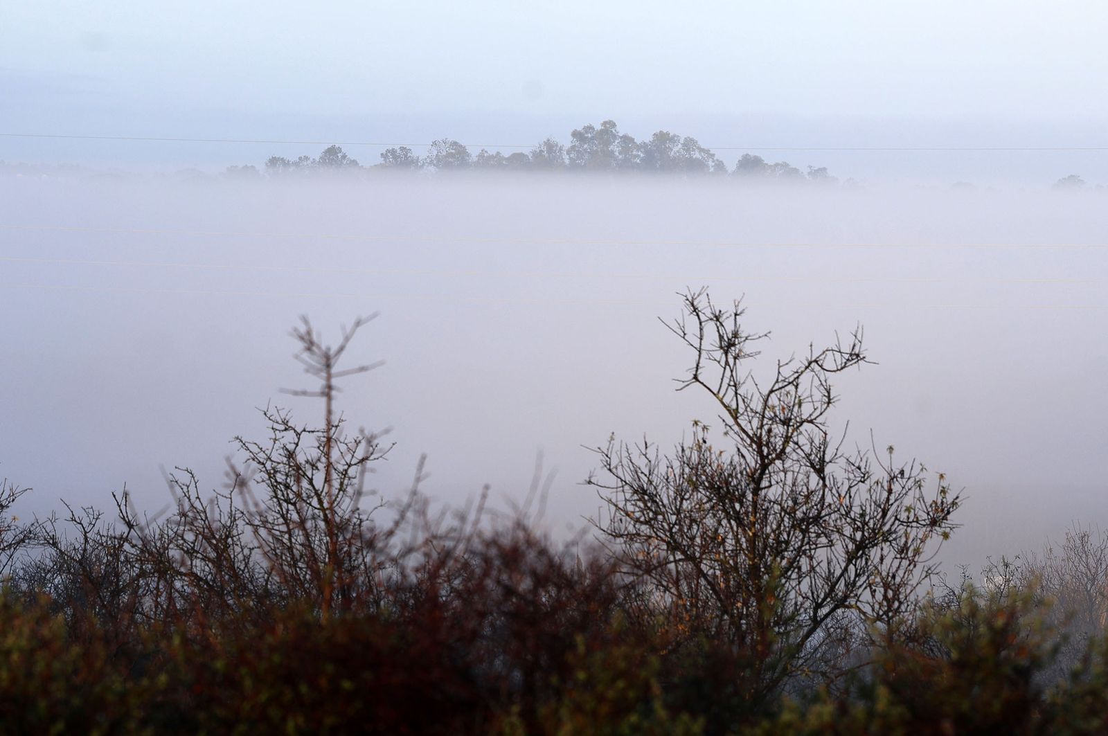 Imágenes de la densa niebla con la que han amanecido varios municipios de Huelva