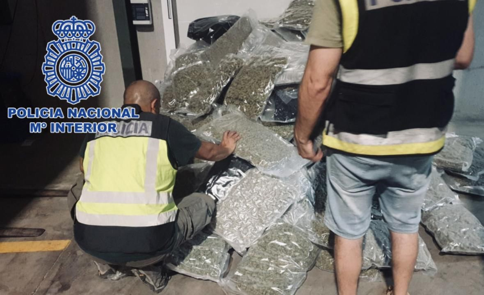 Marihuana oculta en el interior del camión interceptado en Lorca.