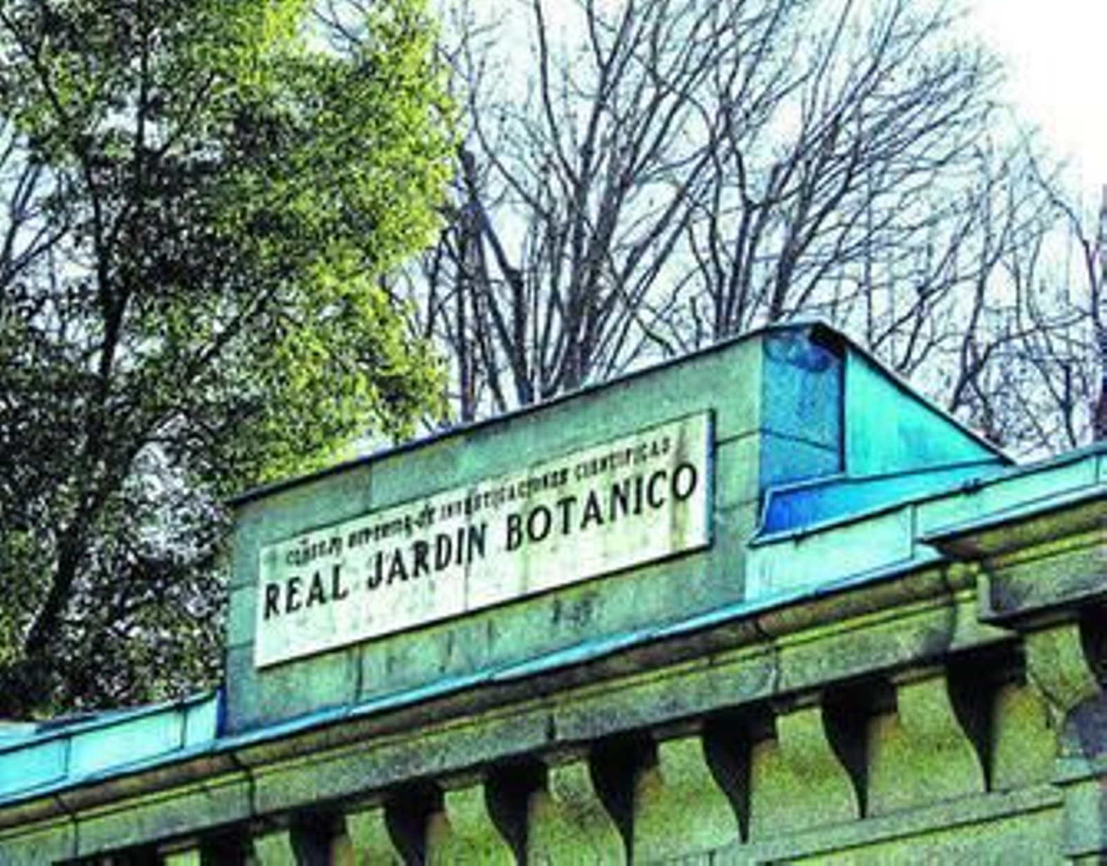 La botánica, la pasión de Quer y Martínez