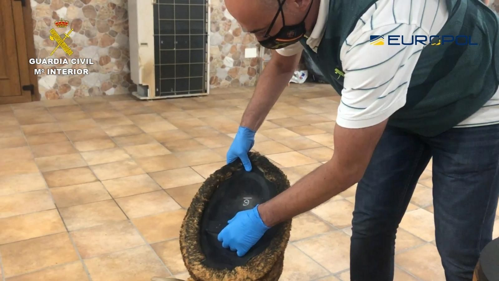 Fotos de la Operación Tortilla contra el narco en el Campo de Gibraltar