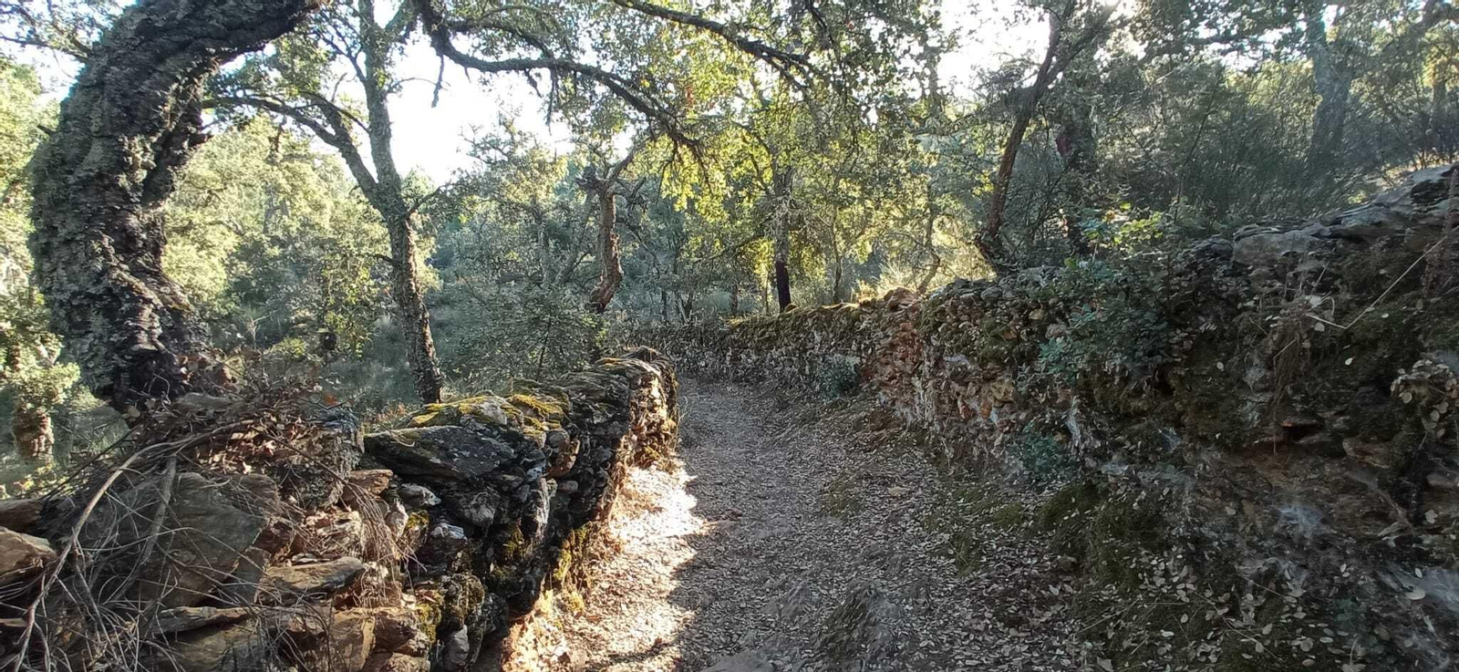 Las imágenes de la Ruta del charco malo