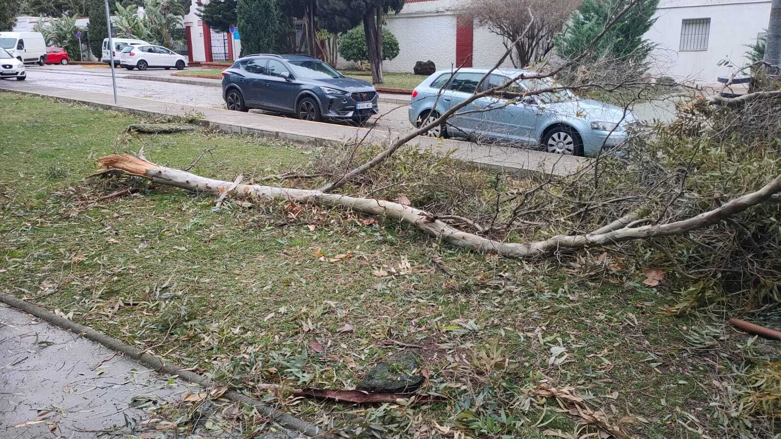 Las fotos de los lectores de Europa Sur del temporal Karlotta