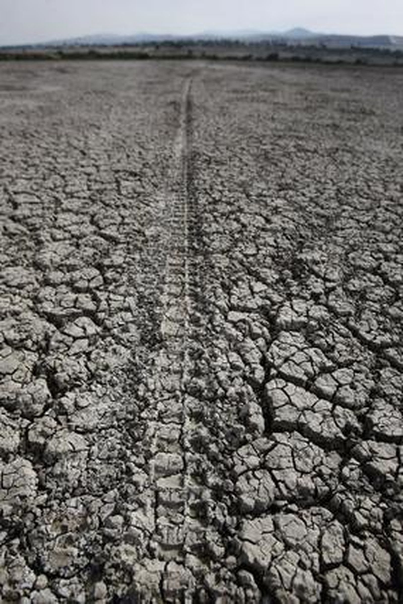 Tierra cuarteada en lo que fue una de las zonas centrales de la laguna.  Foto: Fito Carreto