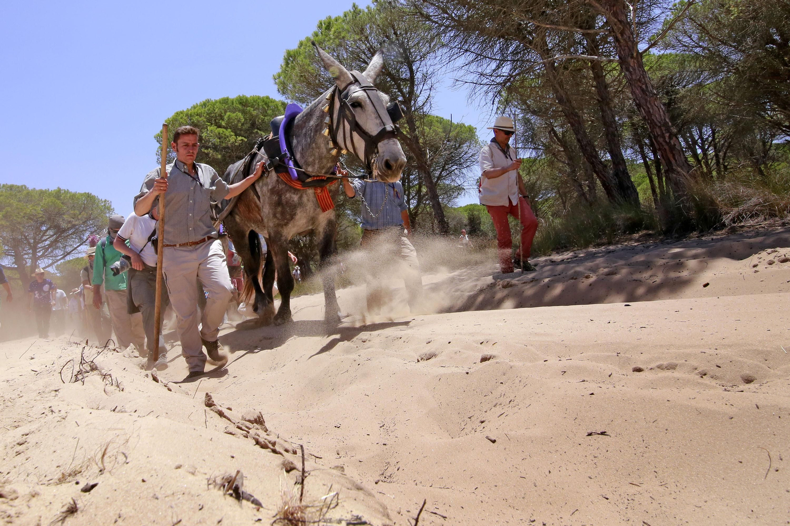 Viernes de duro camino por el Coto