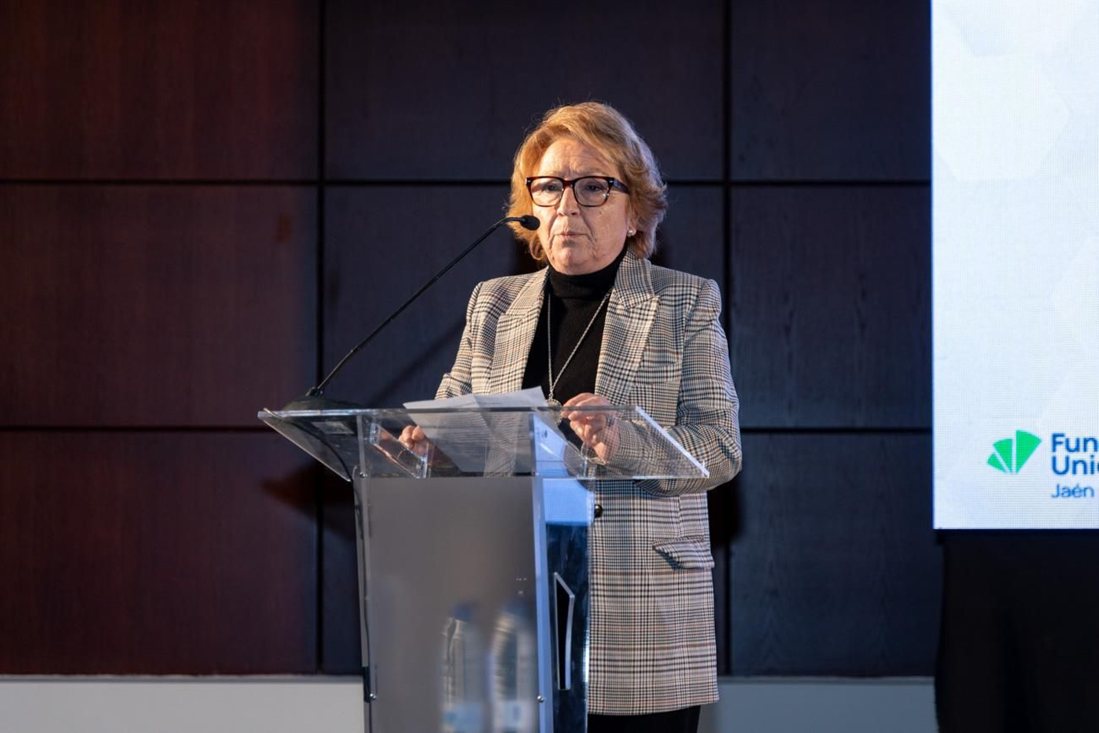 Entrega de distinciones y apertura del III Encuentro Provincial Jaén por Industria