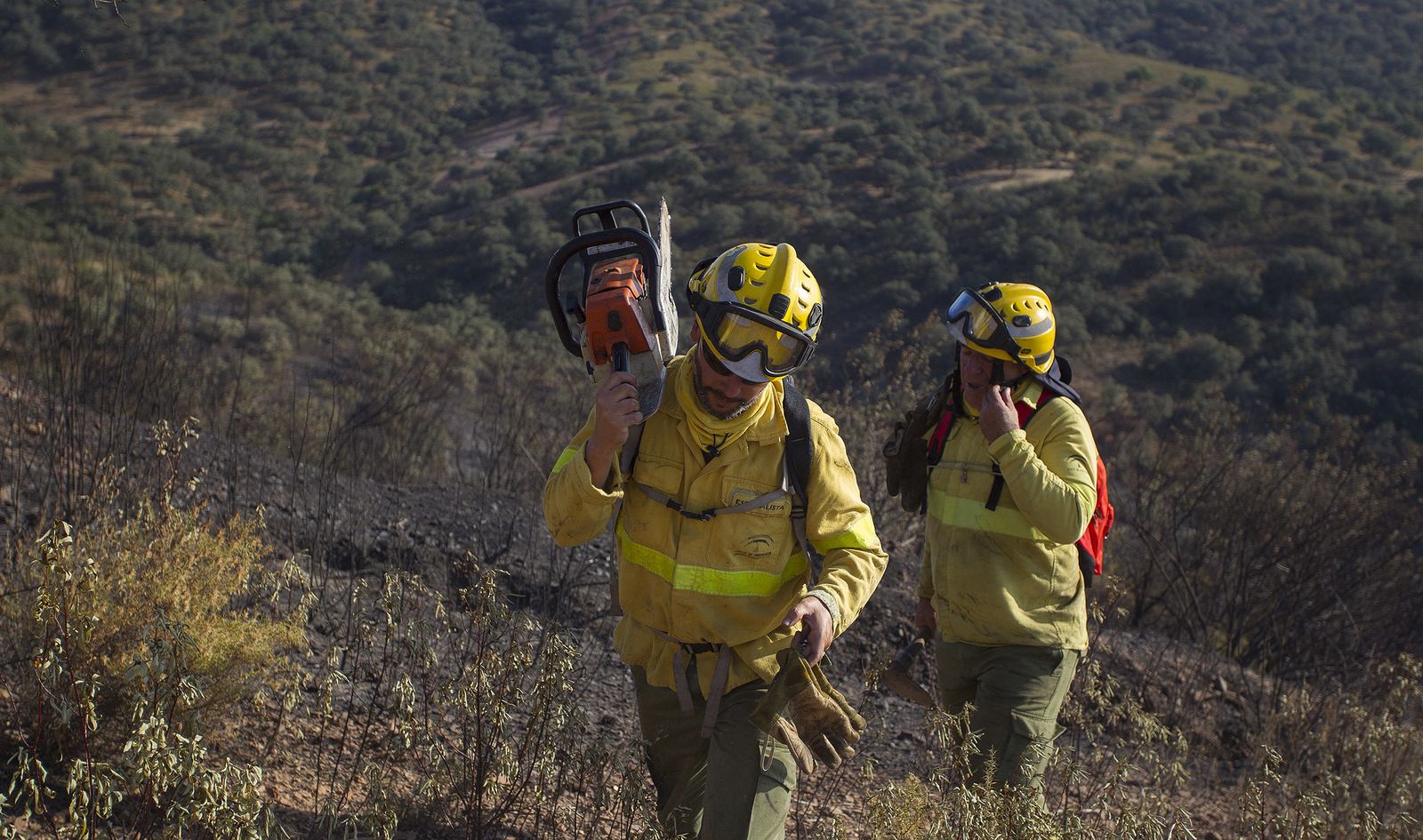 El incendio forestal de El Ronquillo, en imágenes