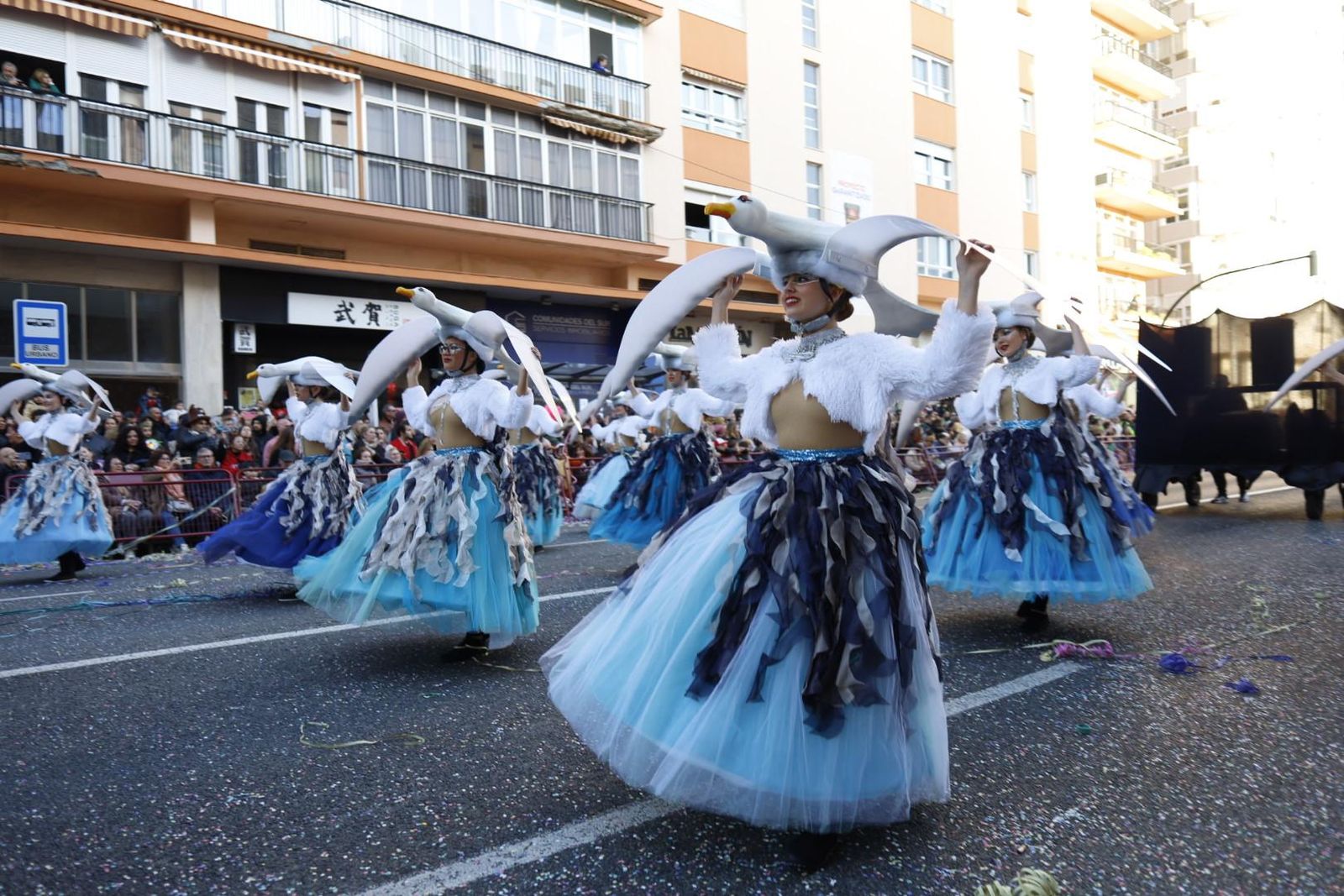 El ballet de gaviotas marinas durante la Cabalgata Magna por la Avenida