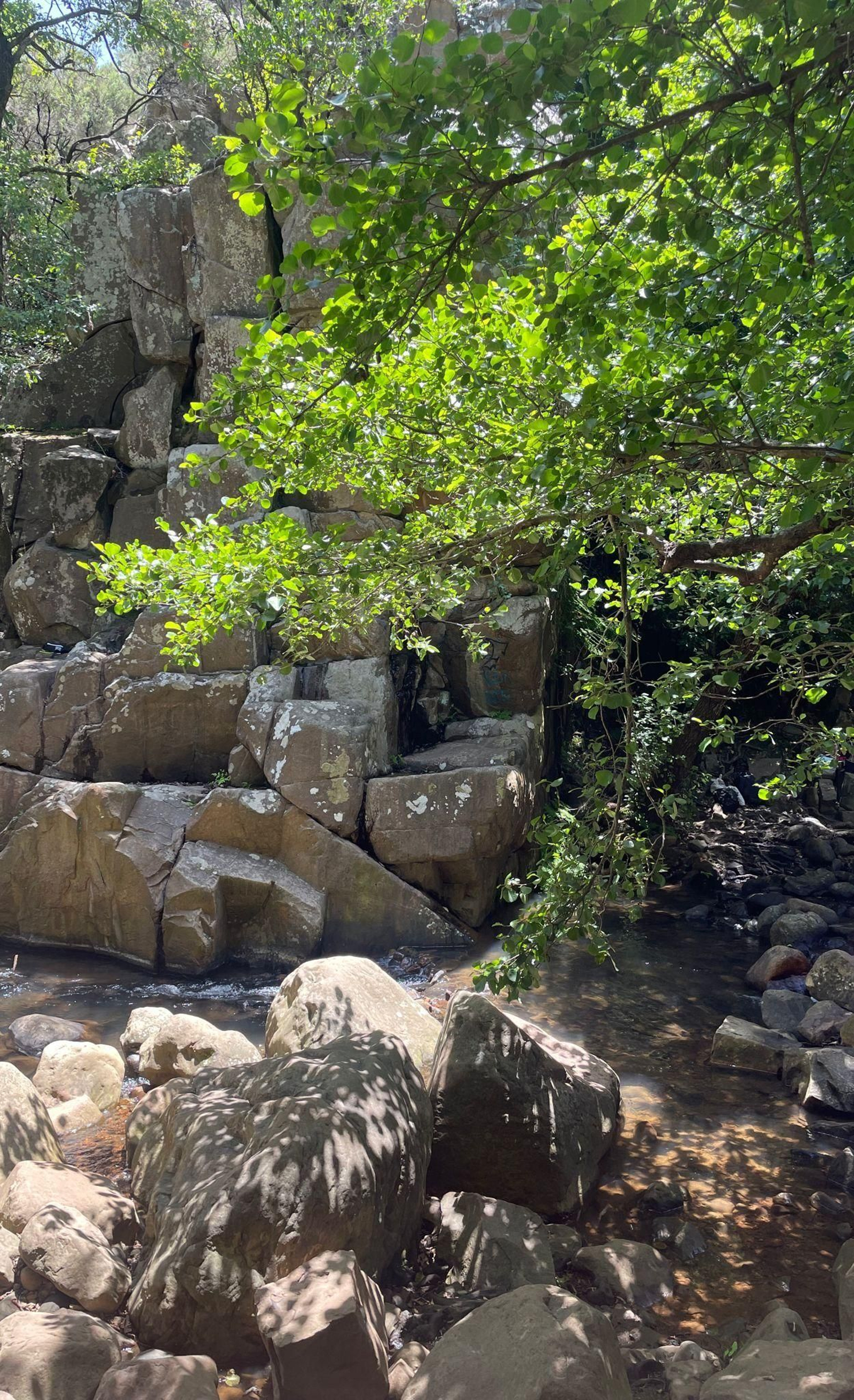 El sendero de la ruta de la Miel en Algeciras, en imágenes