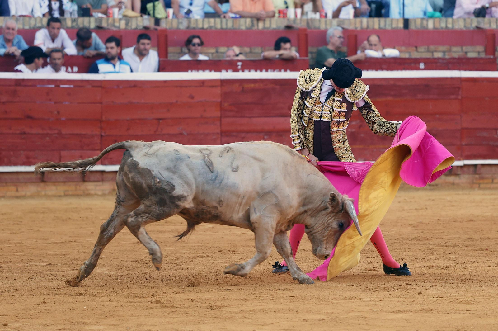 Toros La Merced 2024: Imágenes de la clase práctica del primer Festejo celebrado en la Plaza de Toros La Merced