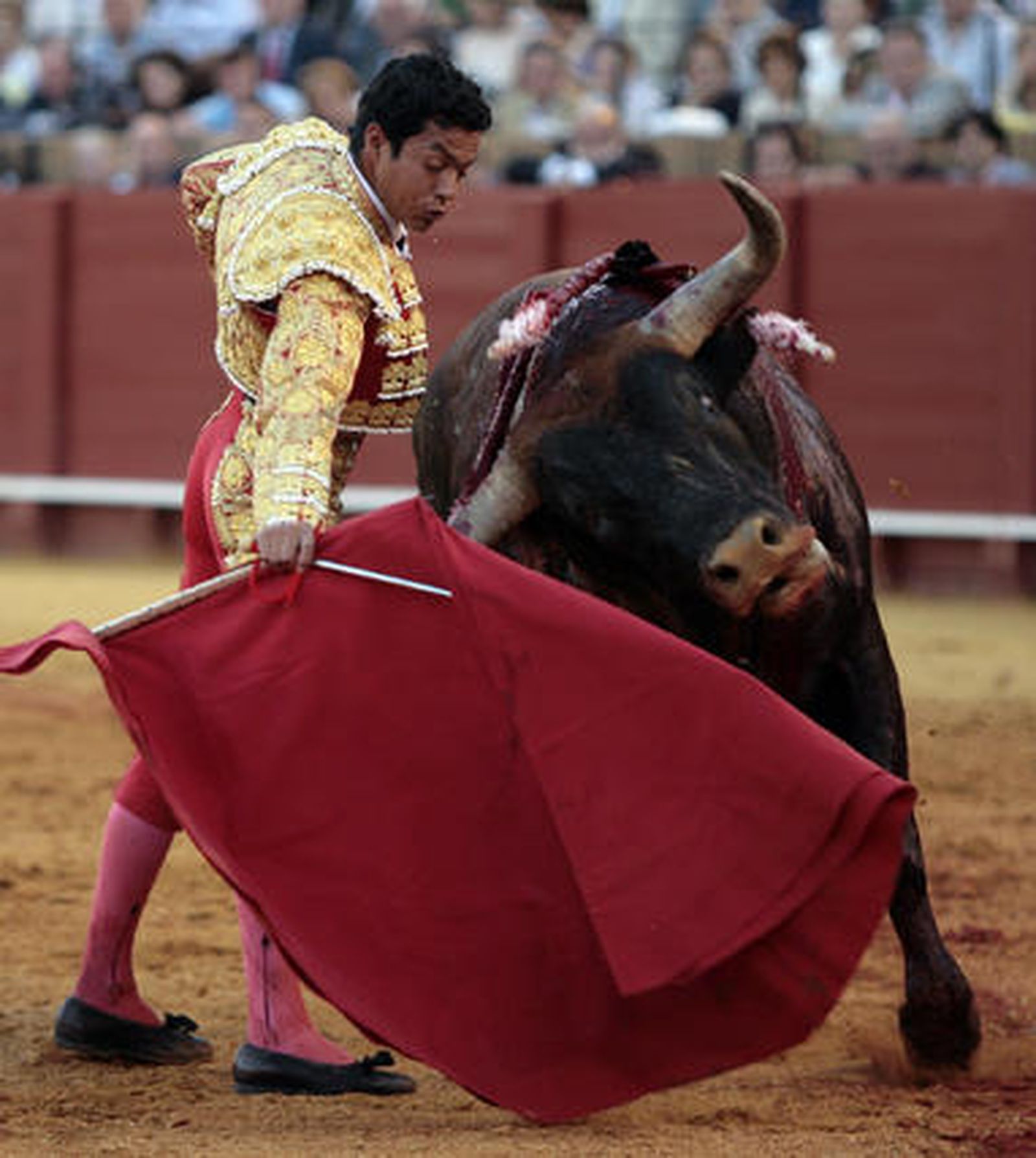 Téllez cierra la tarde en la Maestranza con un toro al que no pudo matar y fue devuelto al corral.en 

Foto: Juan Carlos Muñoz
