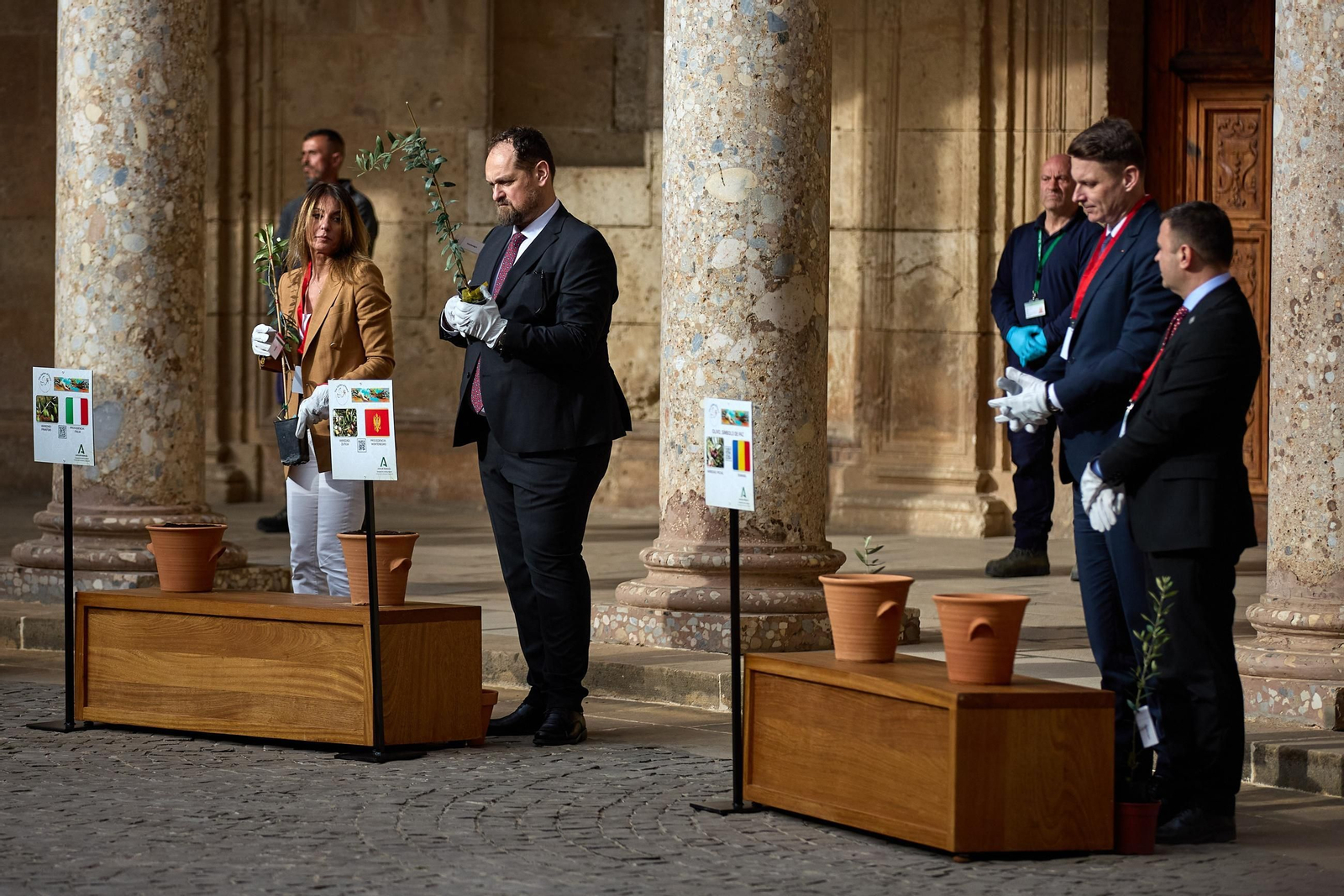 Todas las imágenes de la plantación del jardín de la paz en la Alhambra de Granada