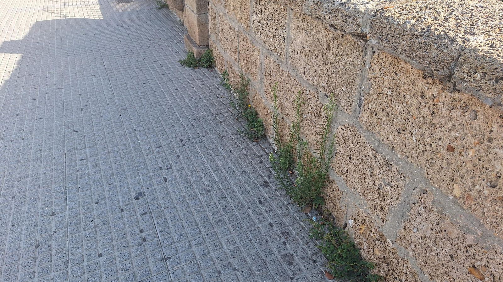 Balaustrada de uno de los fosos de la Puerta de Tierra. Balaustrada de uno de los fosos de la Puerta de Tierra.