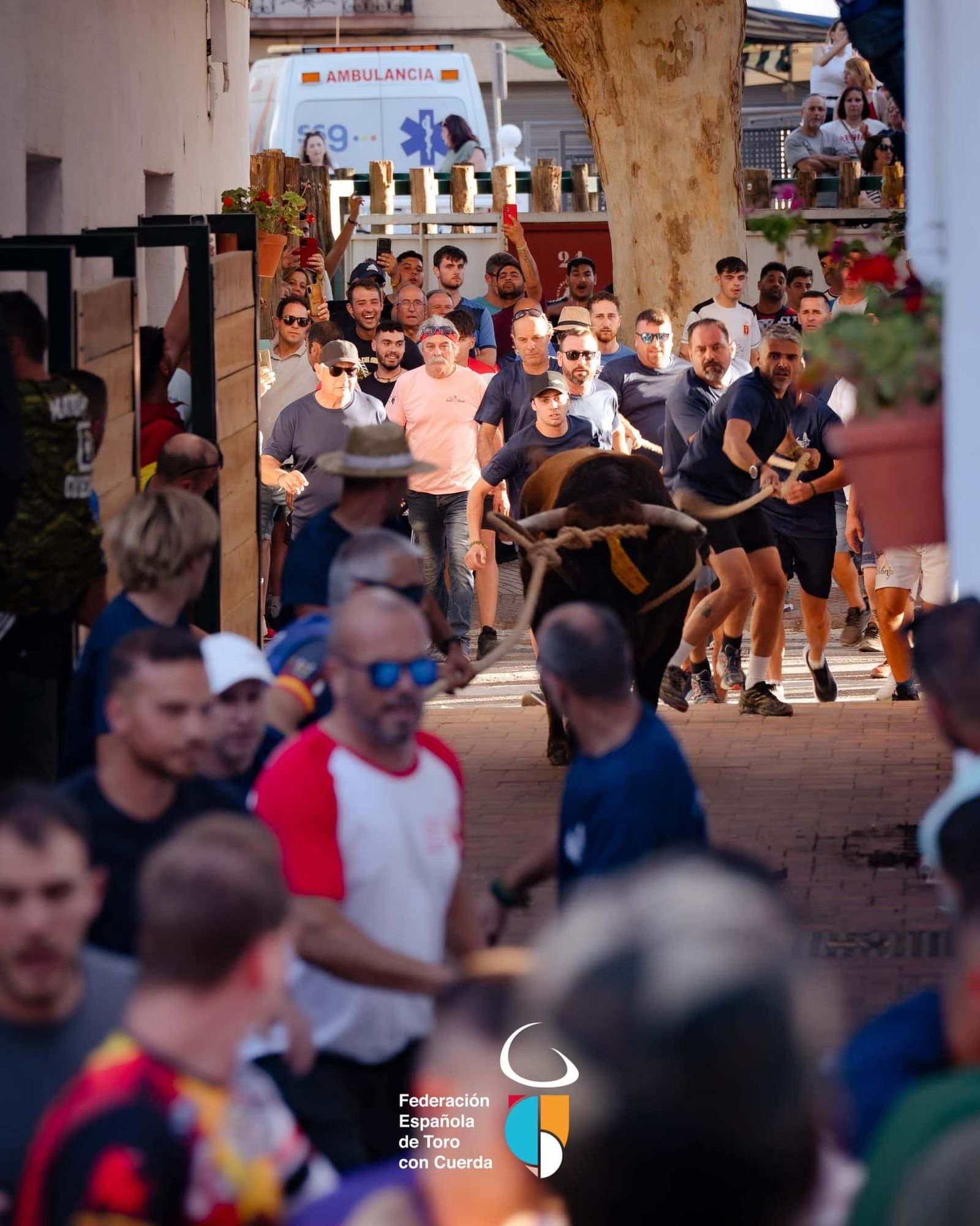Así transcurrió la segunda jornada del Congreso Nacional de Toro de Cuerda, en imágenes