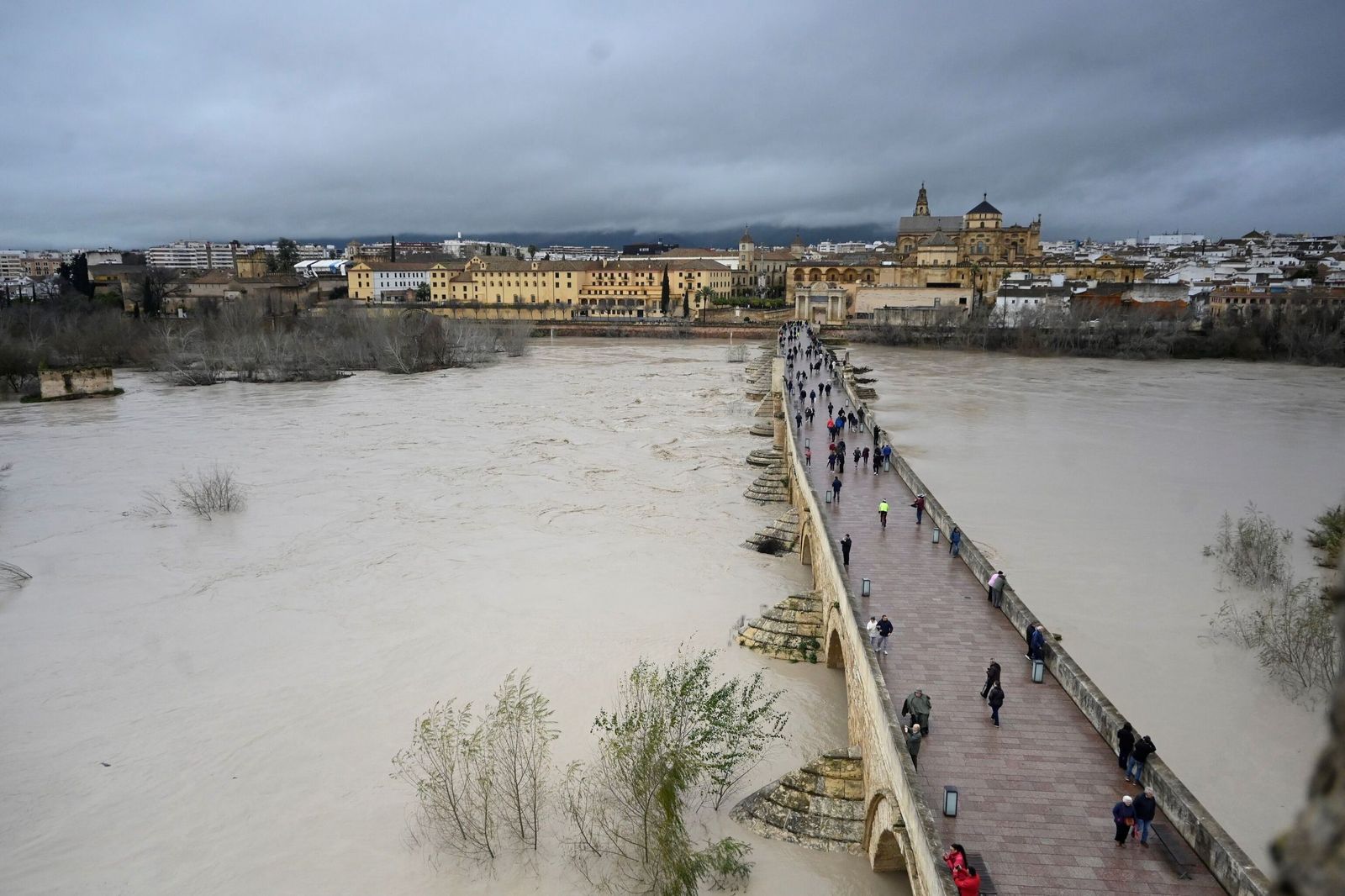 La impresionante crecida del río Guadalquivir: se acerca a los 6 metros a su paso por Córdoba