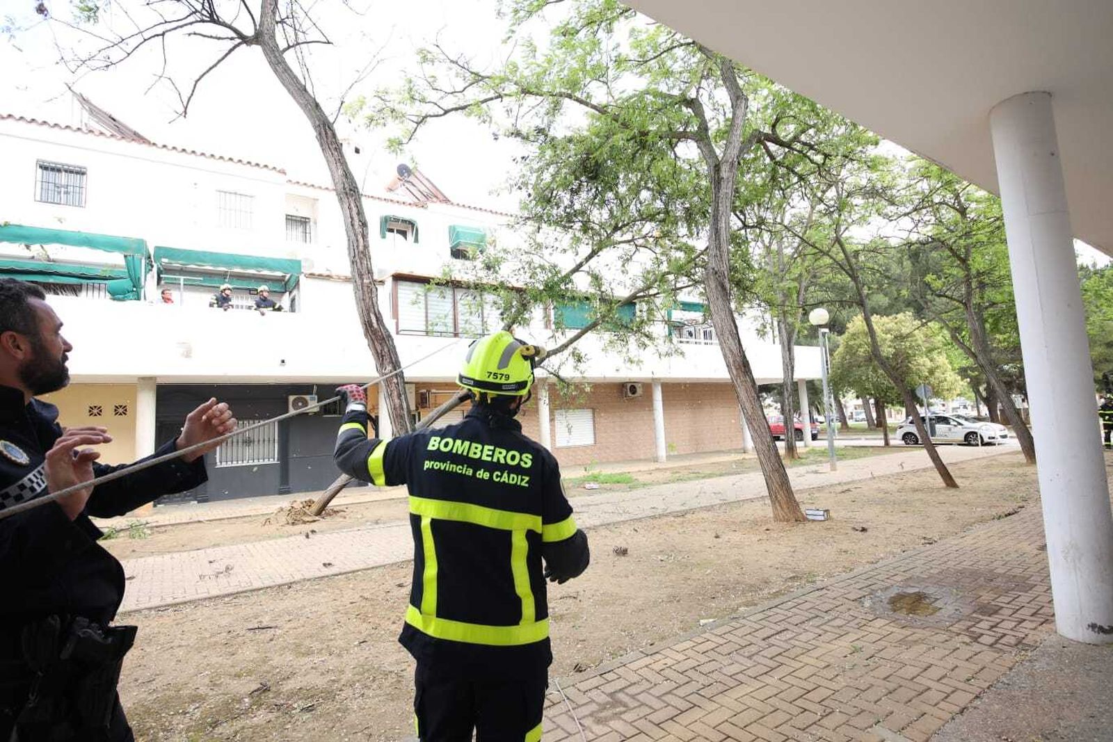 Así ha sido la actuación de los bomberos de Jerez para retirar un árbol y evitar daños en viviendas