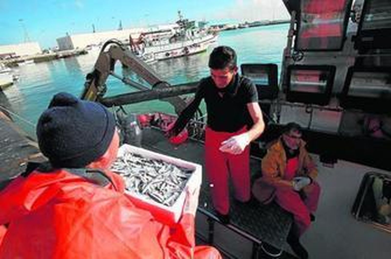 Tras llegar al puerto de Cádiz, los pescadores del 'Elvimar' descargan sus capturas.