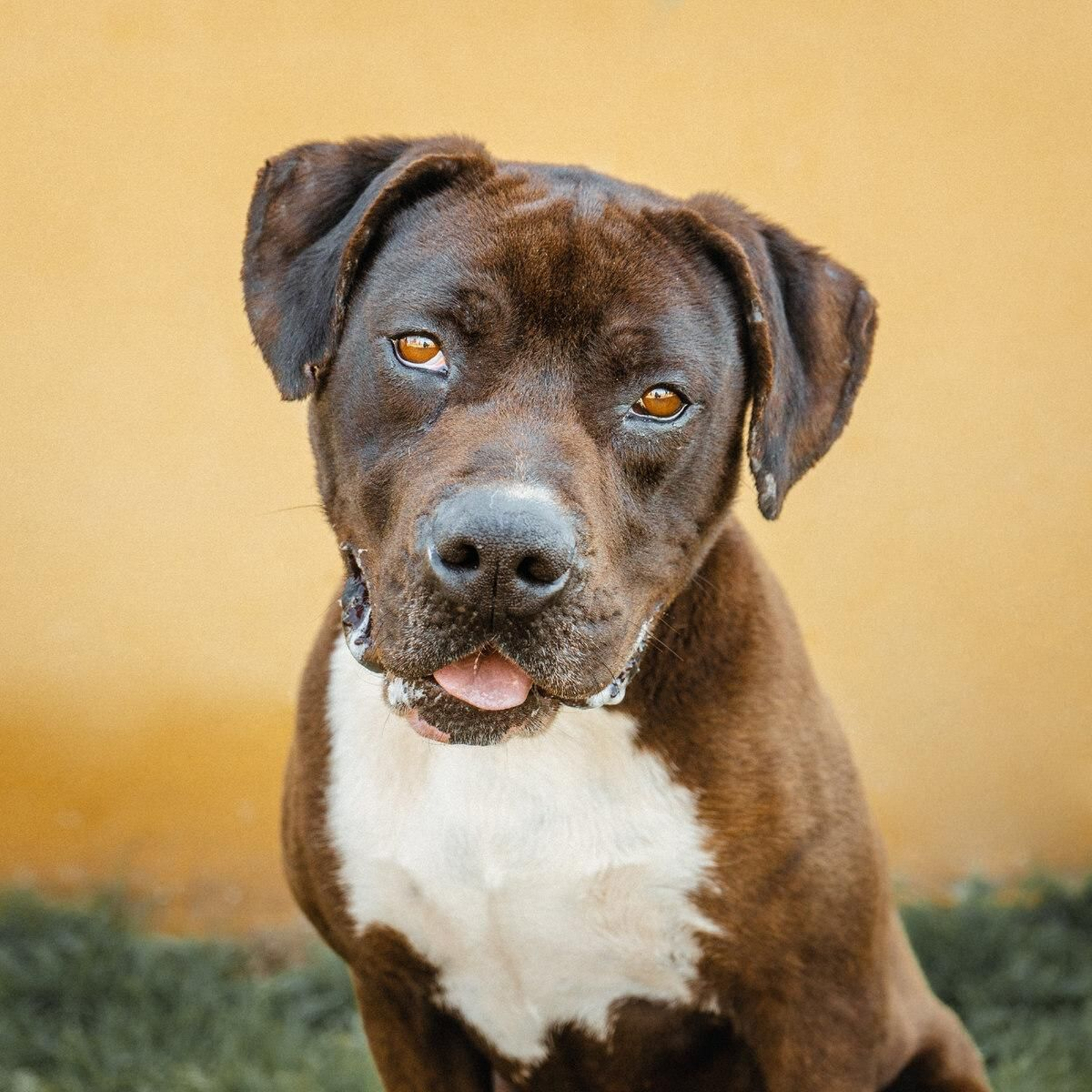Abre la puerta de tu casa a Ares.