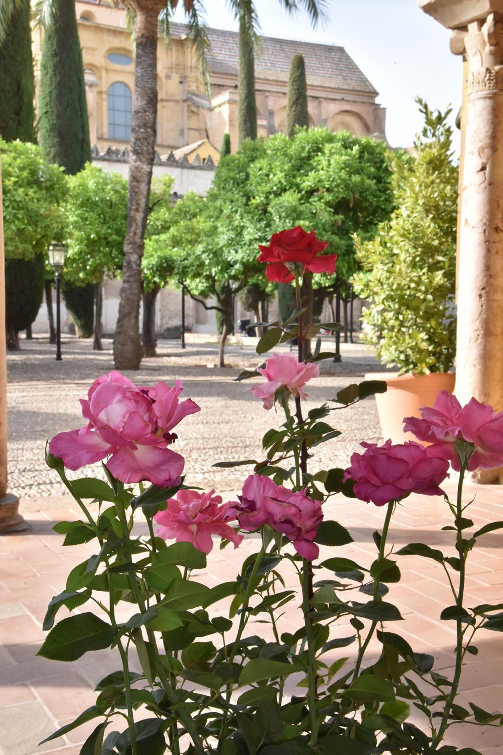 La nueva ornamentación floral del Patio de los Naranjos de la Mezquita de Córdoba, en imágenes