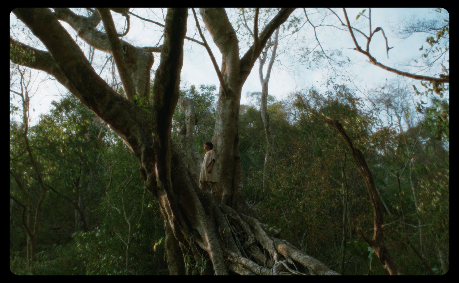 Un fotograma de la tercera historia de 'Eureka', la vuelta de Lisandro Alonso.